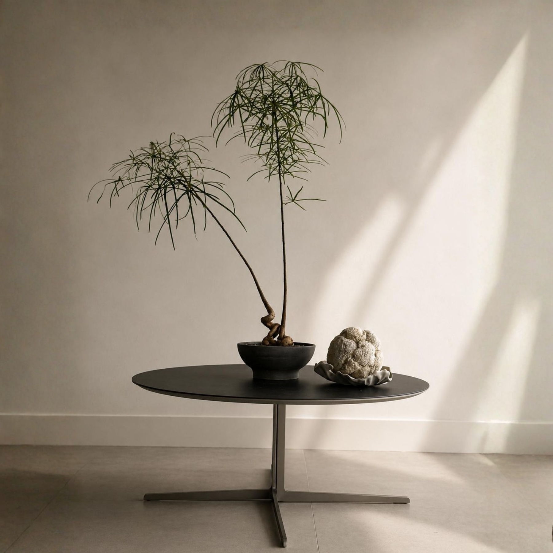 Plant Compositions