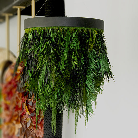 Hanging Ceiling Plants