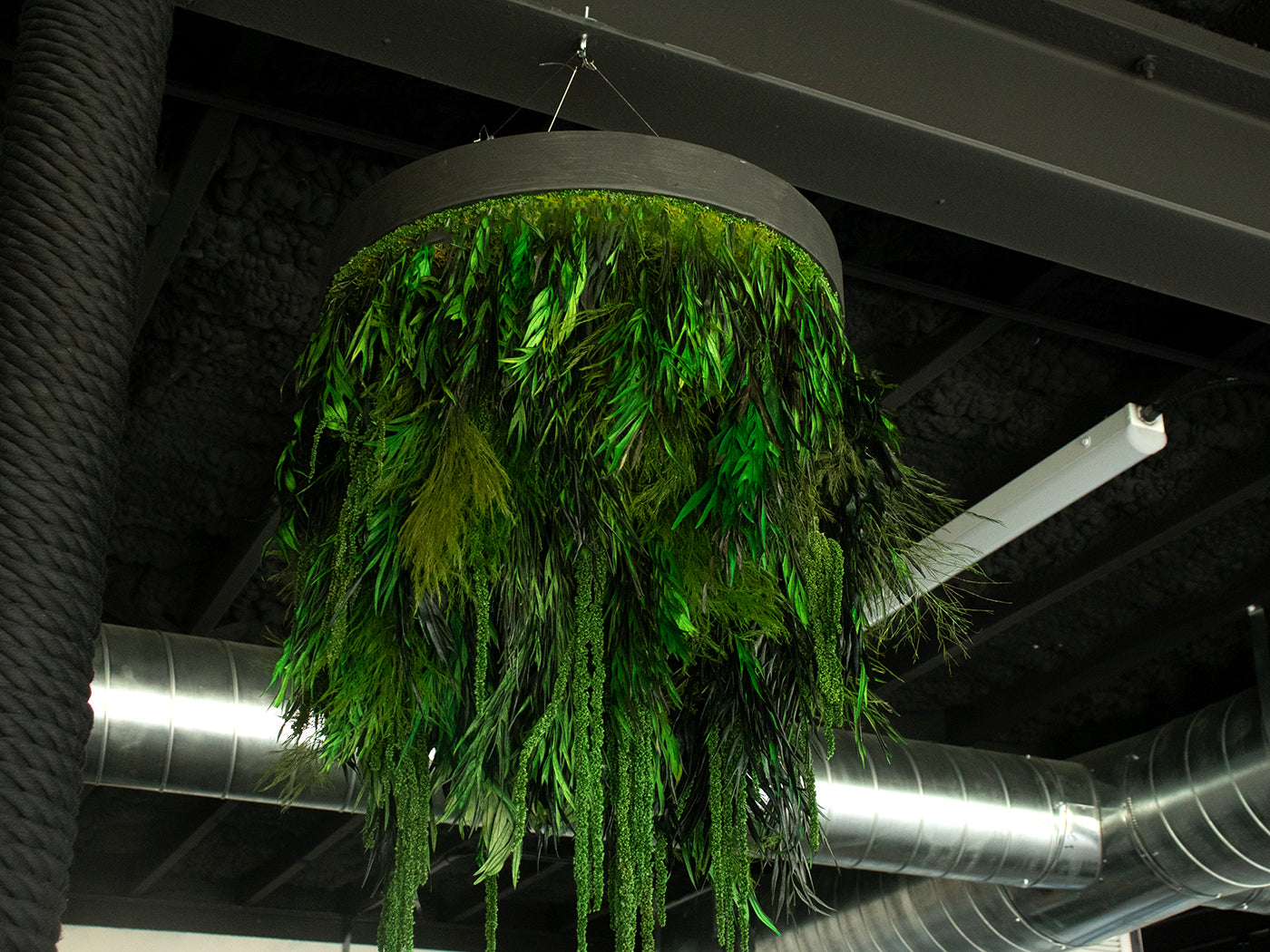 Plant Chandelier