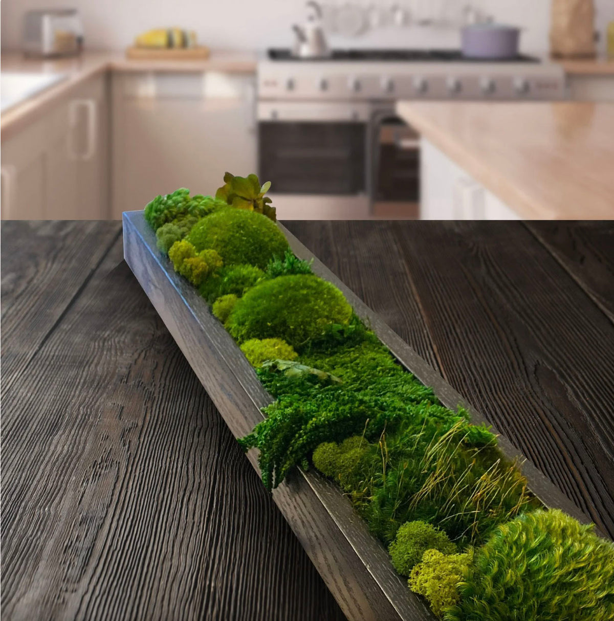 VERDANT passage Moss Centerpiece