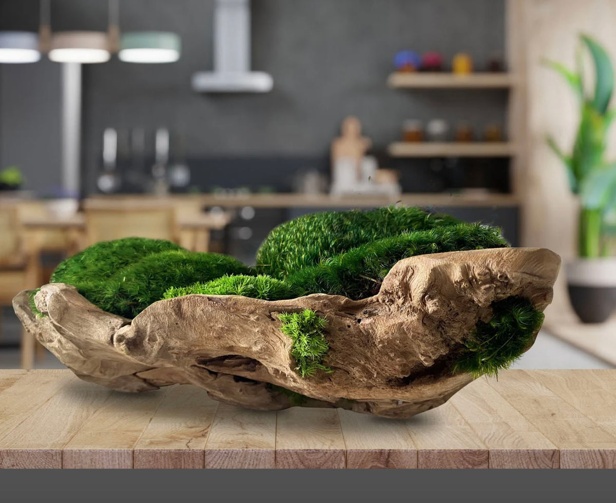 SYLVAN Drift Moss Centerpiece