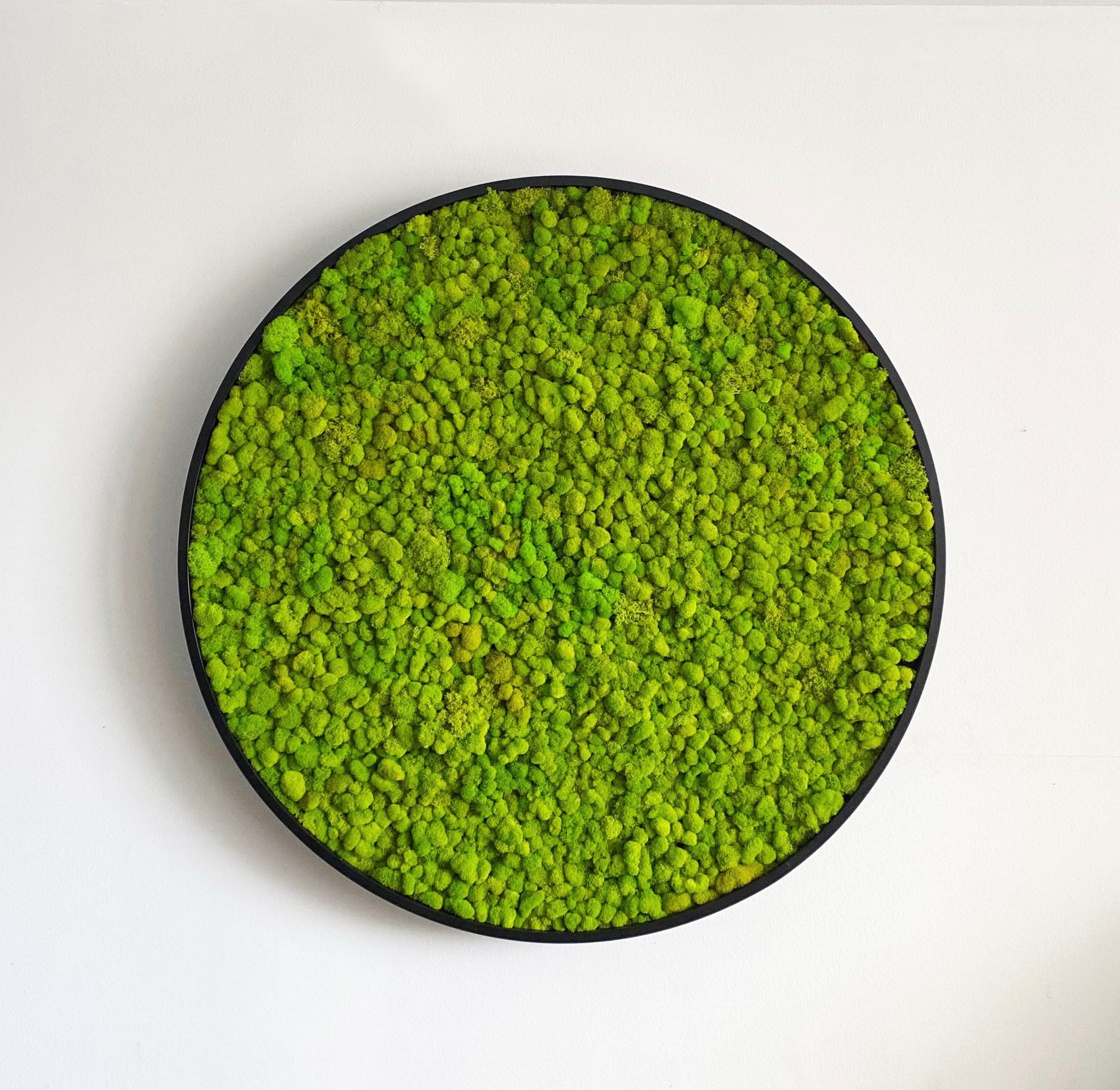 Moss Wall Art. Preserved moss. Statement Art. Planted wall. Round art