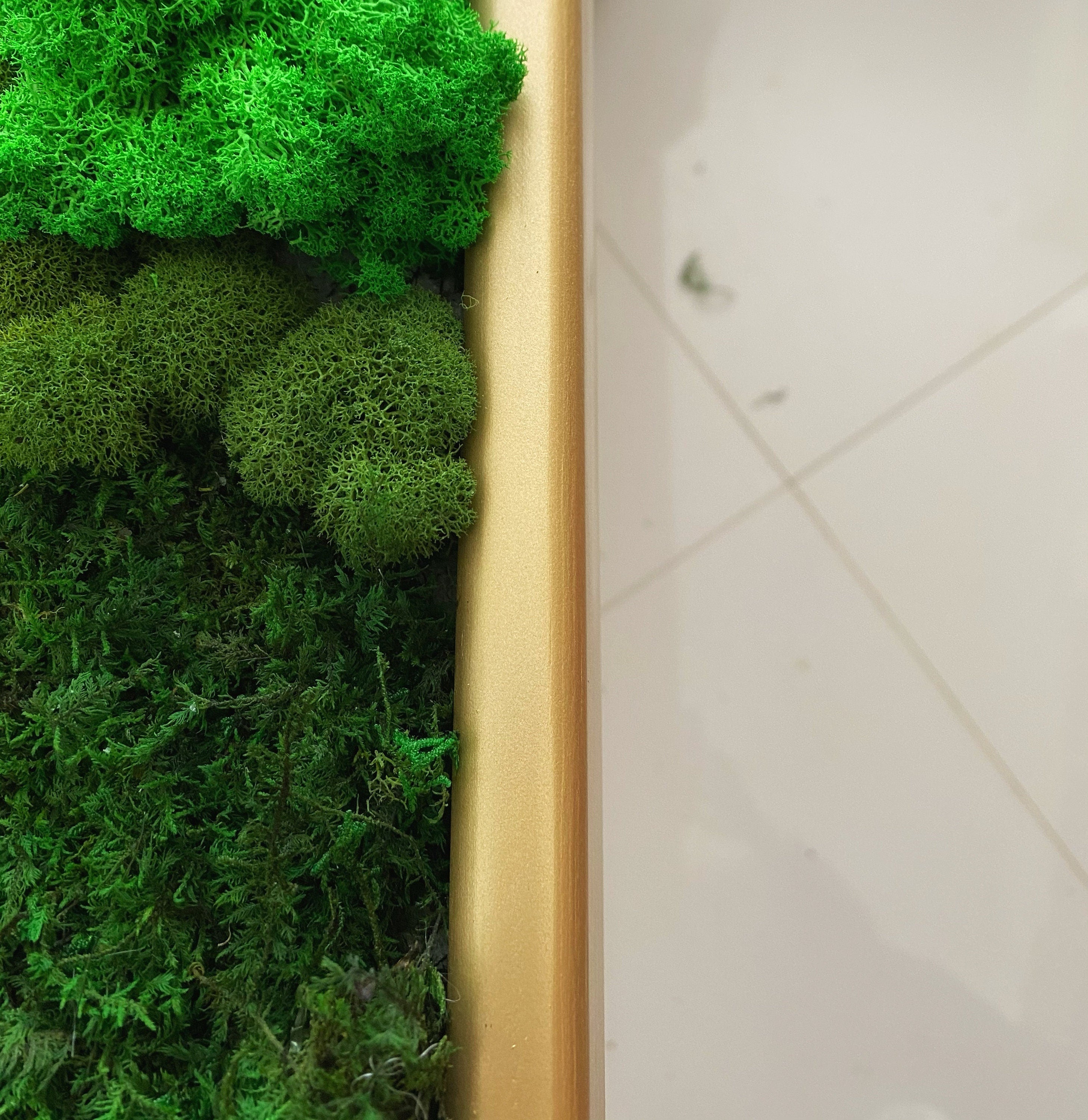 Moss wall art. Moss frame. Moss art. Green wall
