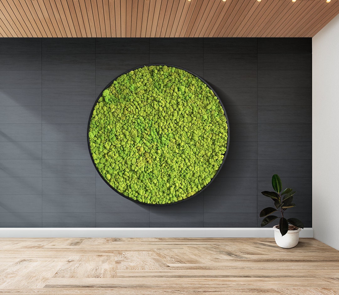 Moss Wall Art. Preserved moss. Statement Art. Planted wall. Round art