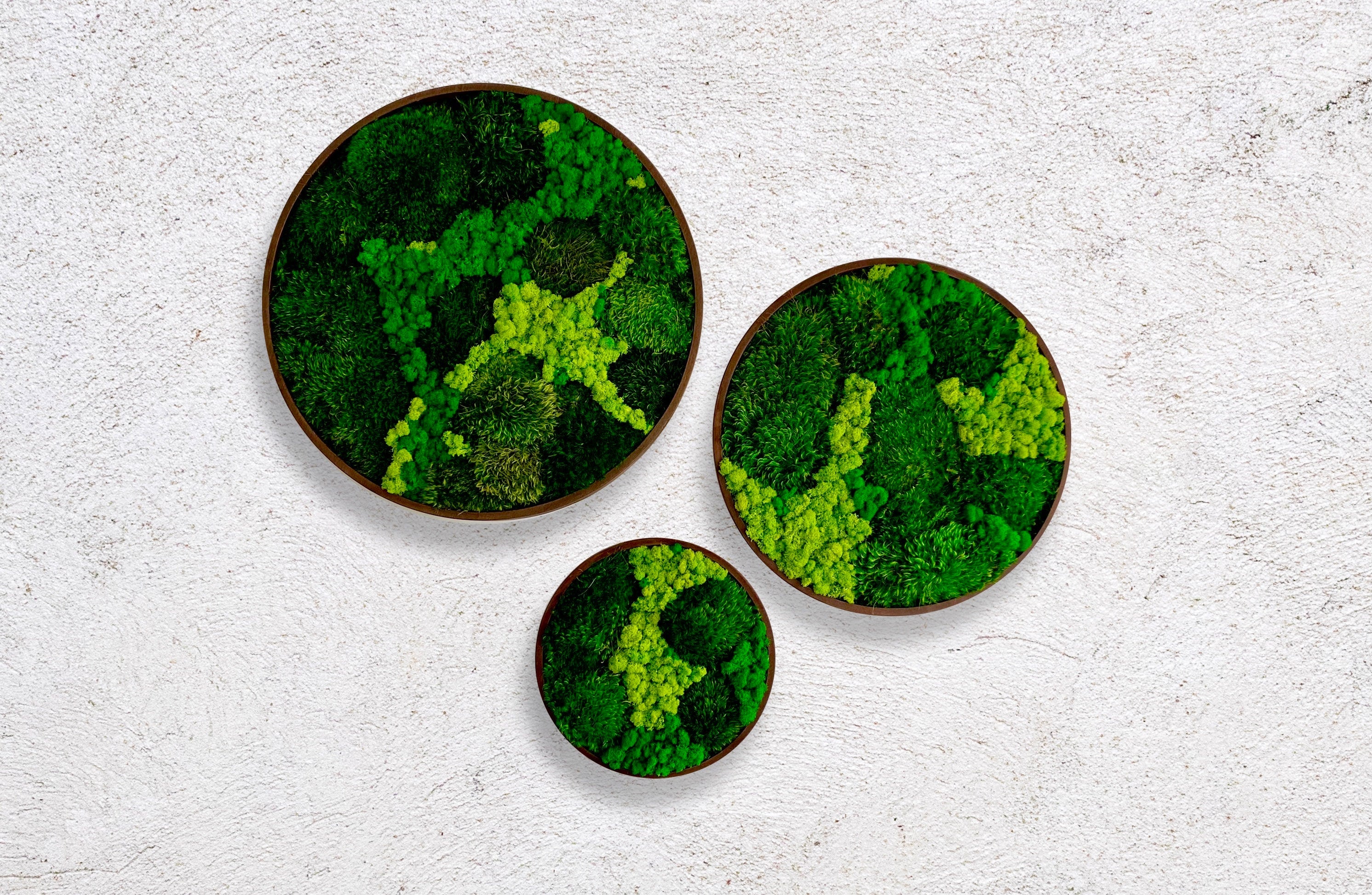 Moss wall art. Moss wall. Moss frame. Preserved moss. No maintenance