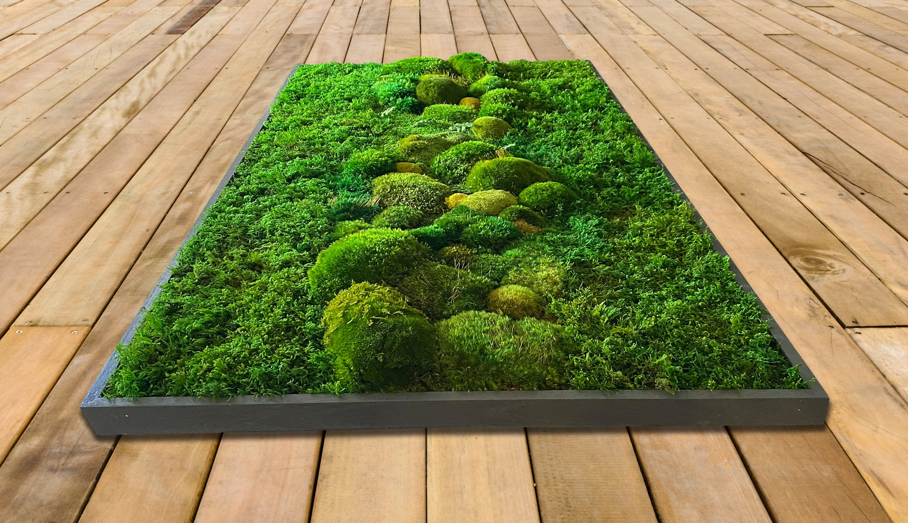 Moss wall art. Preserved Moss wall. Plant wall. Moss art. Statement Moss Art