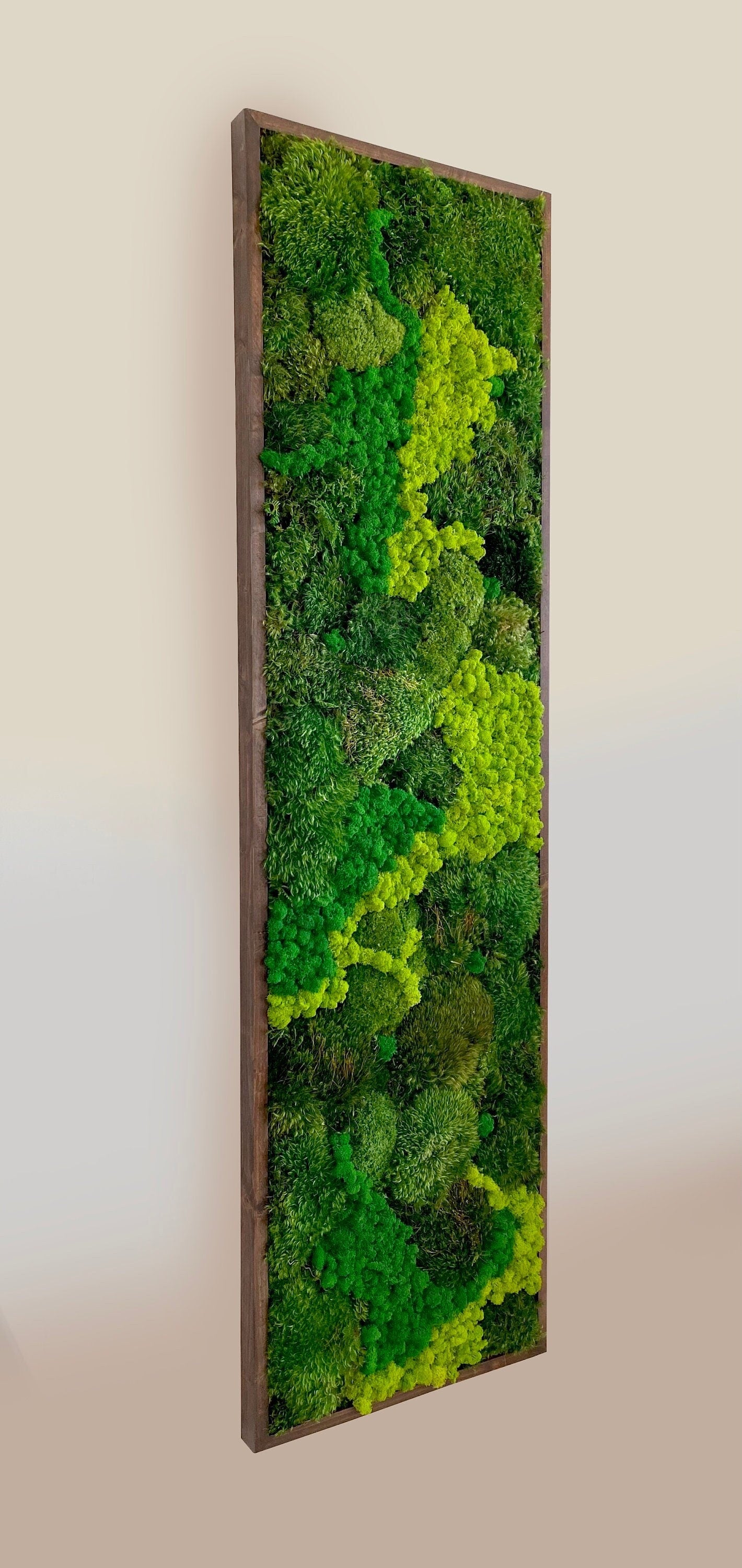 Moss art. Green wall. Preserved Moss. Plant wall