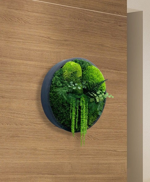 Moss wall art - Preserved Moss - Round art - circular art - living wall