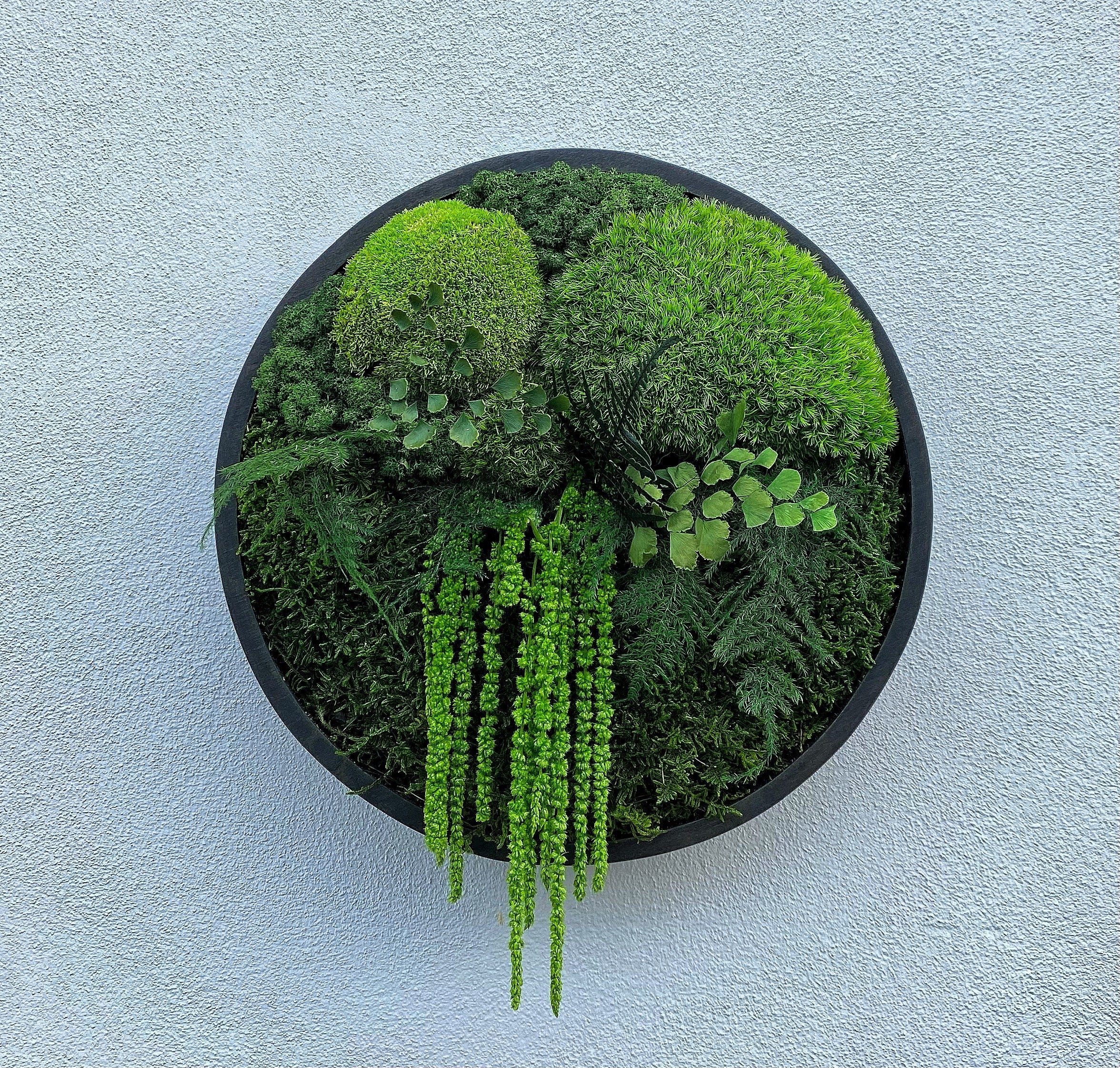 Moss wall art - Preserved Moss - Round art - circular art - living wall