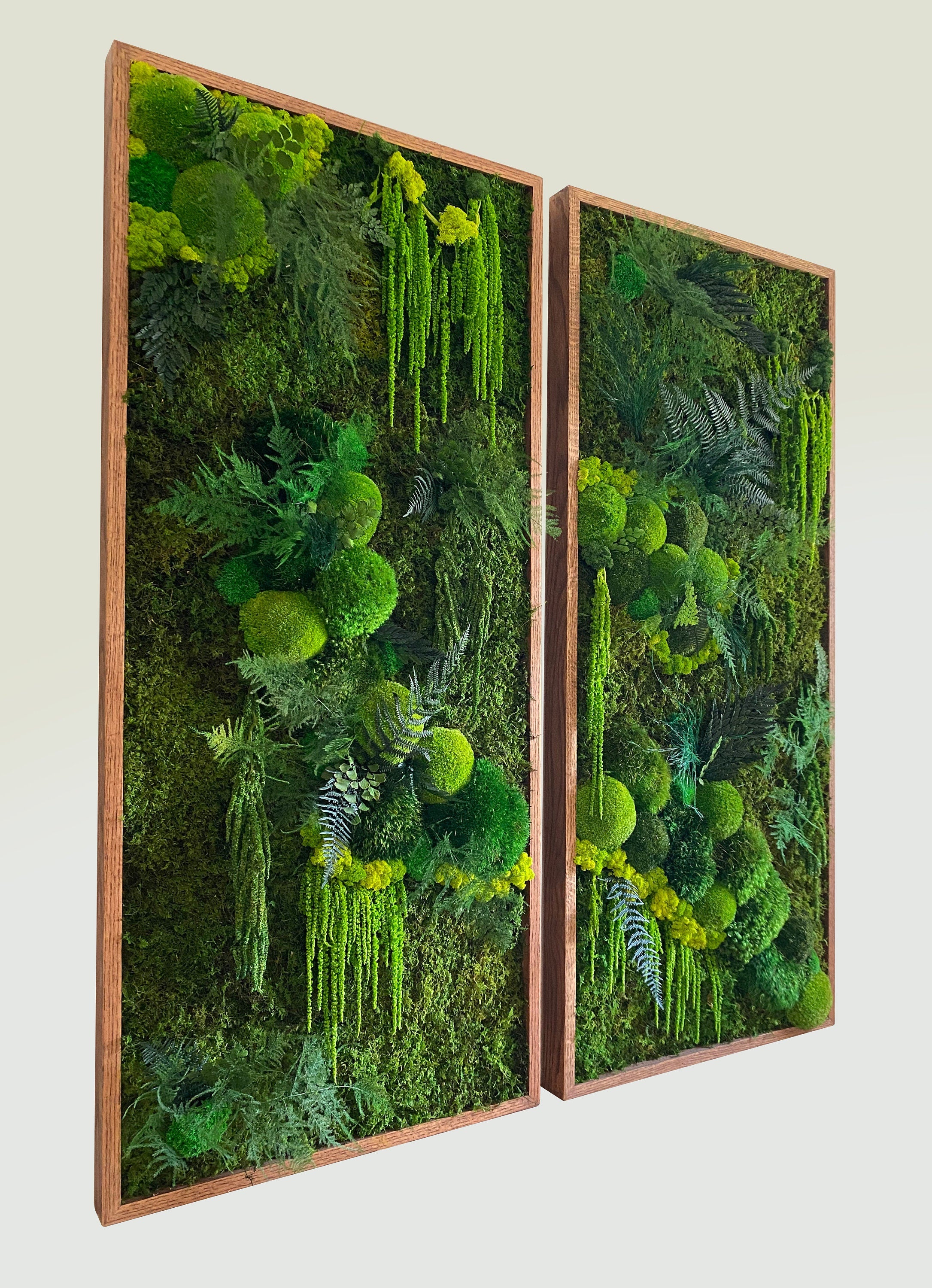 Moss Wall Art. Moss Art. Preserved Moss. Living wall. Plant wall decor