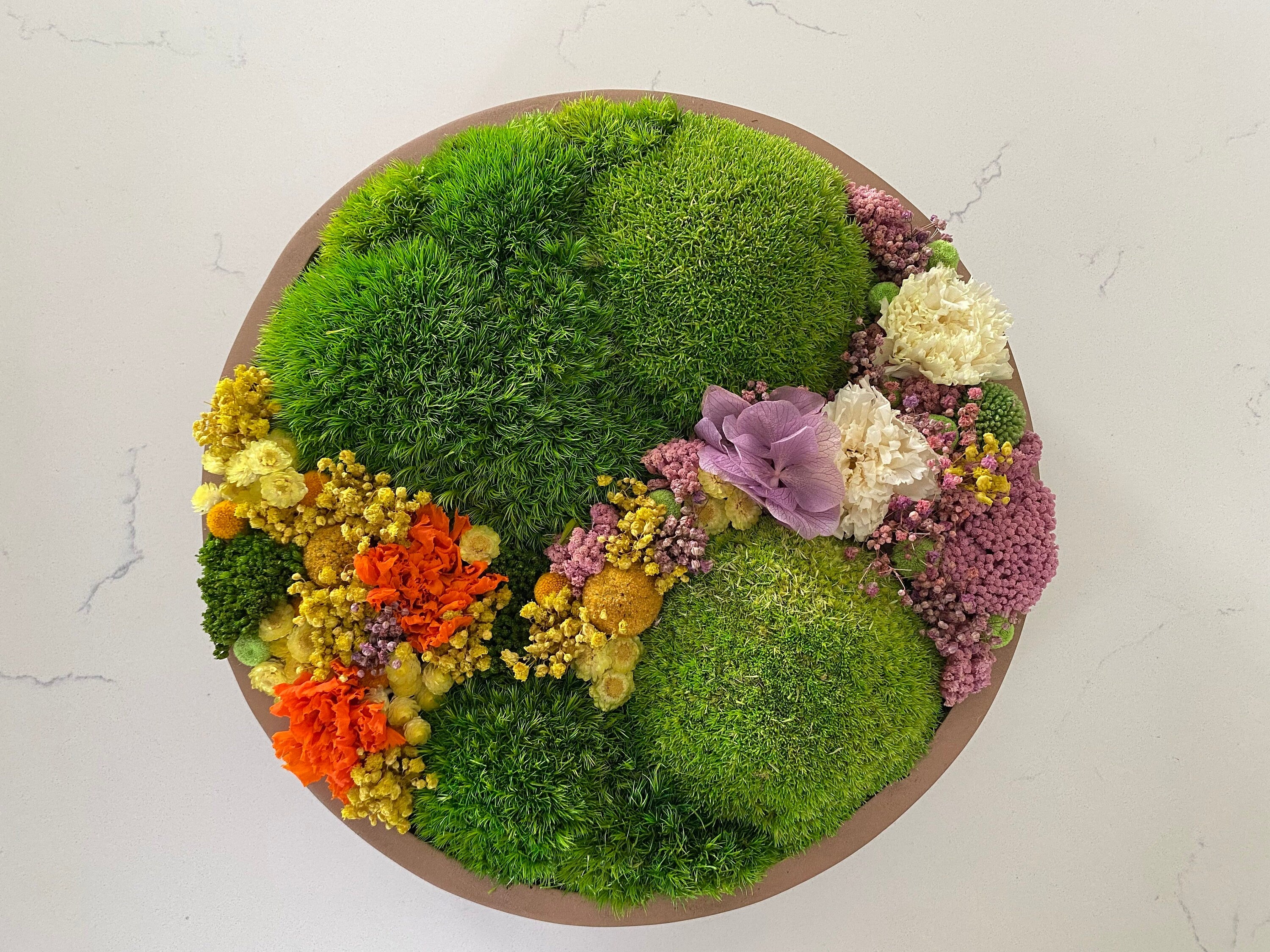 Moss wall art. Moss Wall. Preserved moss Art. Living wall