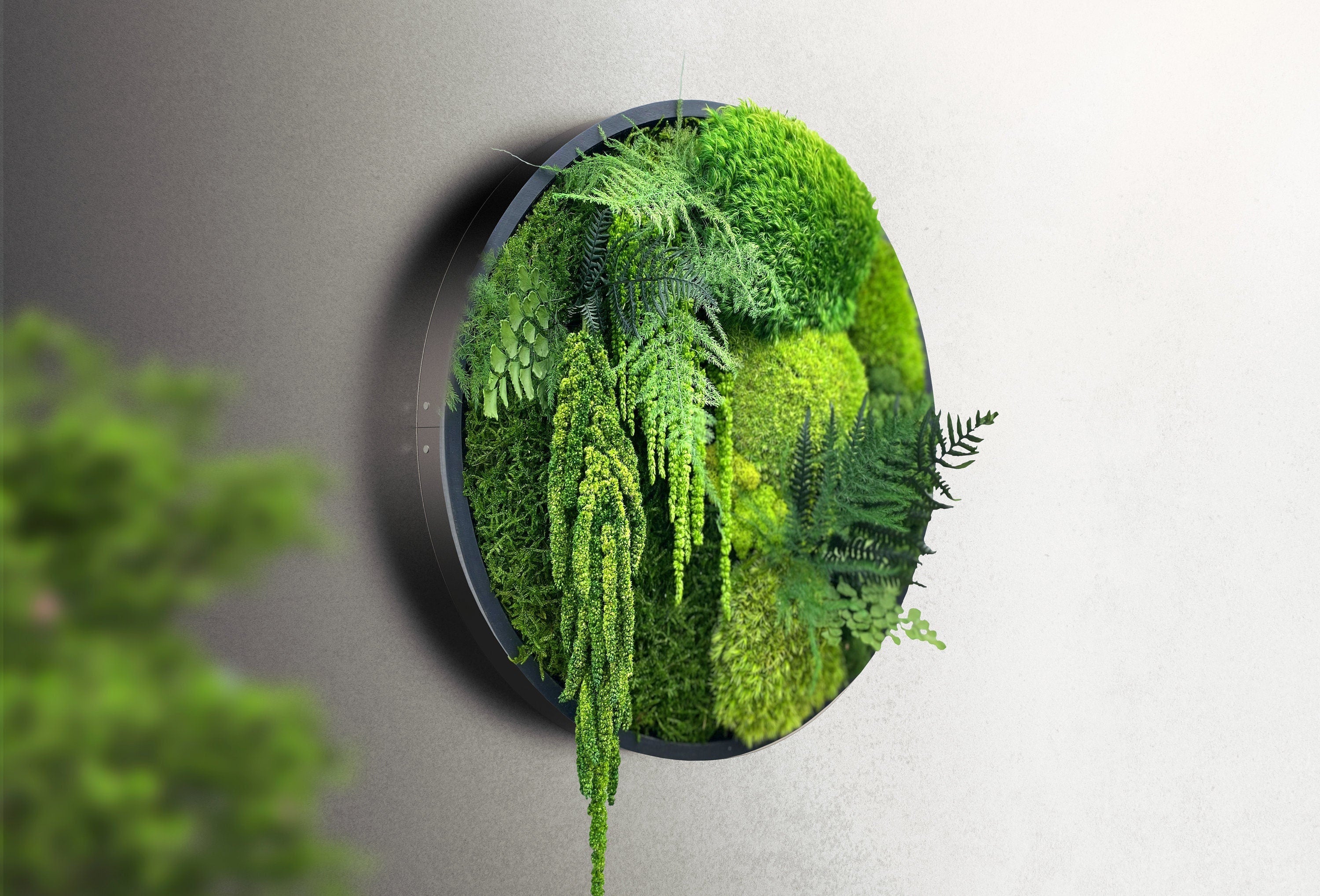 Moss wall art - Preserved Moss - Round art - circular art - living wall