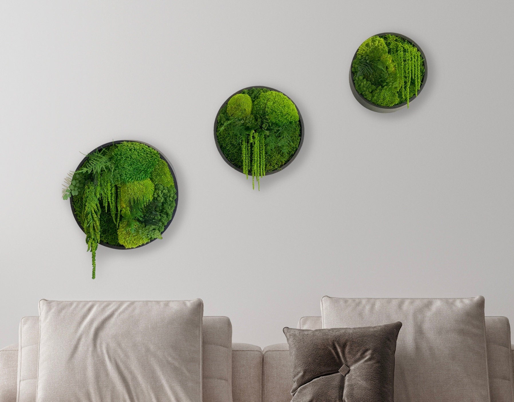 Moss wall art - Preserved Moss - Round art - circular art - living wall