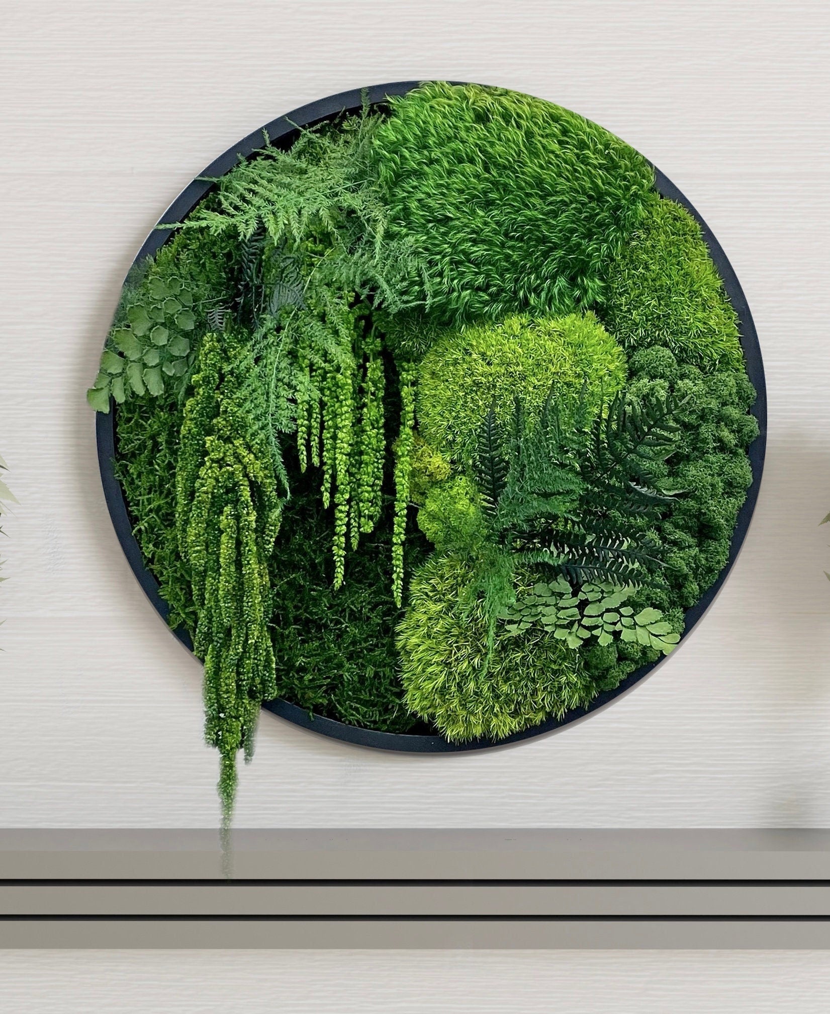 Moss wall art - Preserved Moss - Round art - circular art - living wall