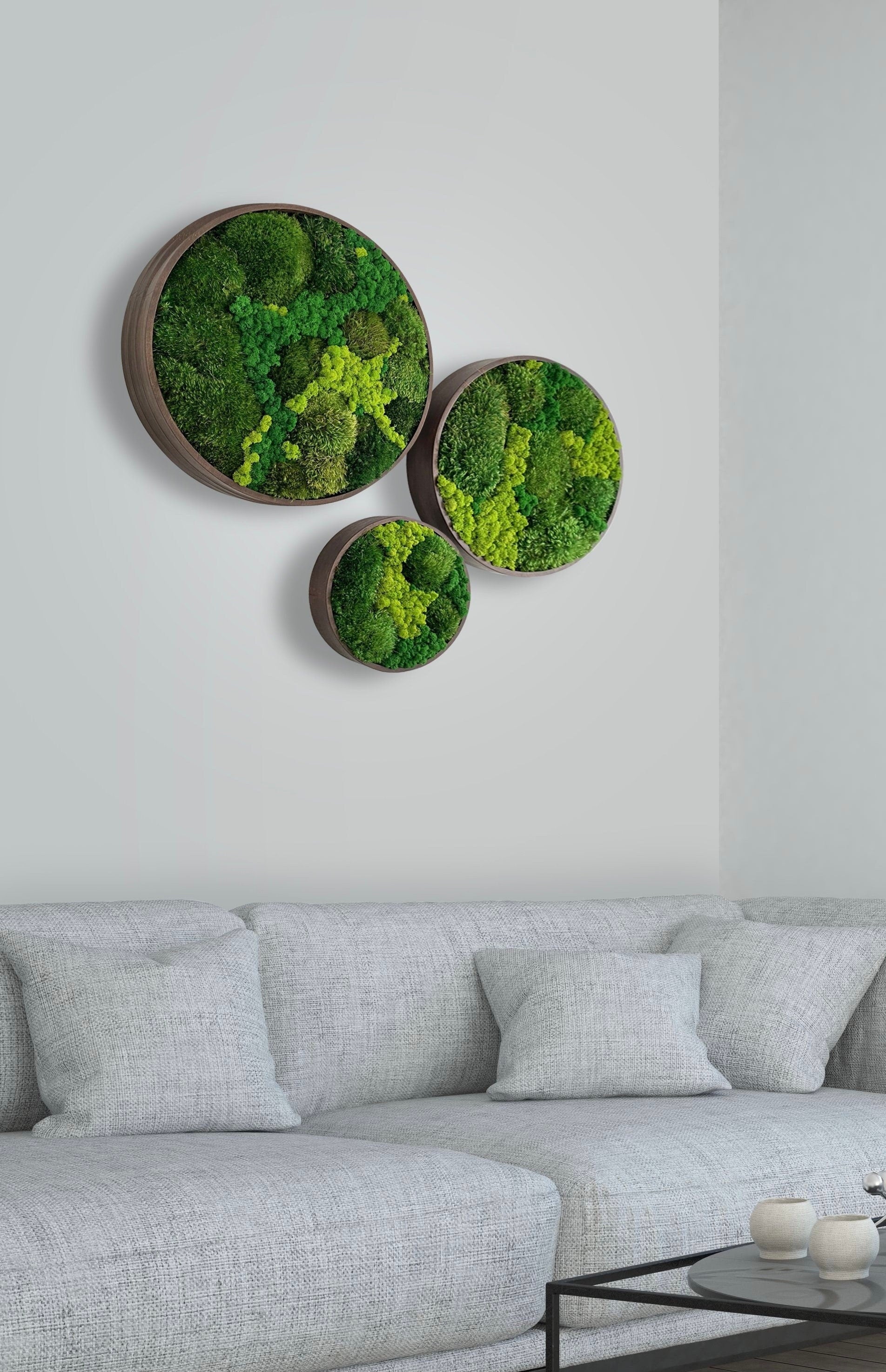 Moss wall art. Moss wall. Moss frame. Preserved moss. No maintenance