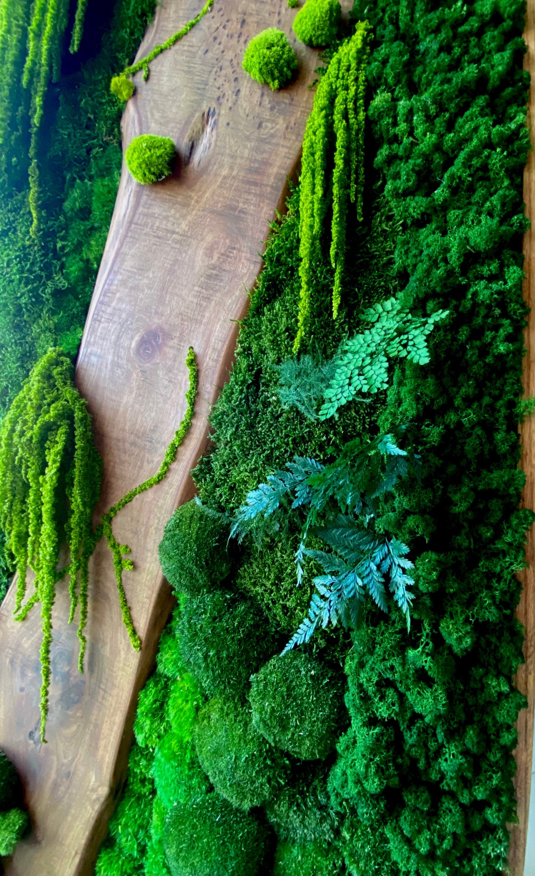 Moss Wall Art - Wood moss art - live Edge Art - Unique Statement Piece - Moss Art