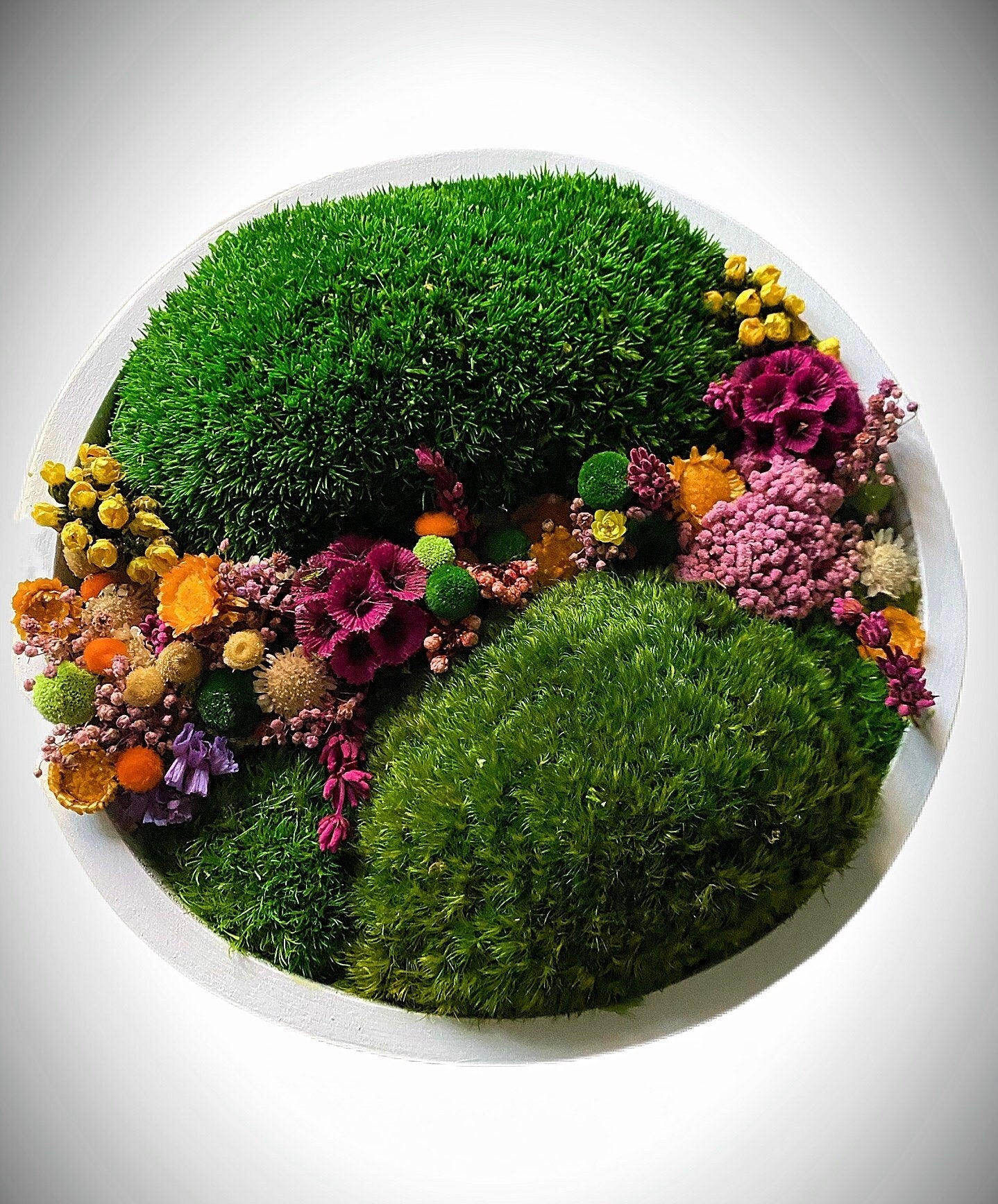 Moss wall art. Moss Wall. Preserved moss Art. Living wall