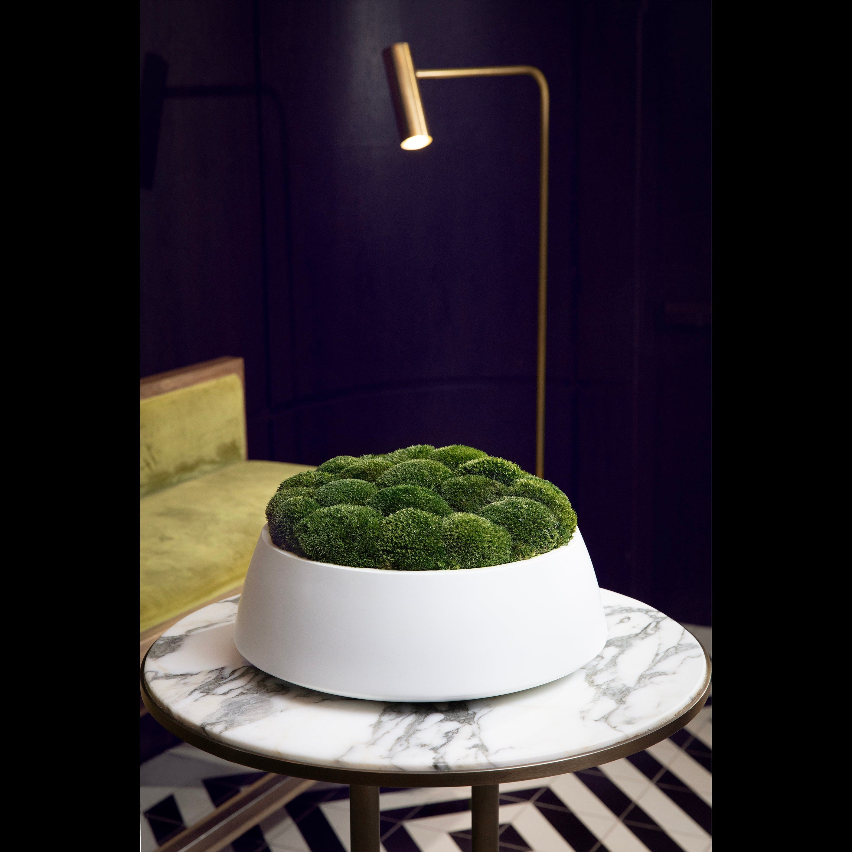 Large Moss Centerpiece - Moss bowl arrangement - Pillow Moss in Modern Bowl - Home decor