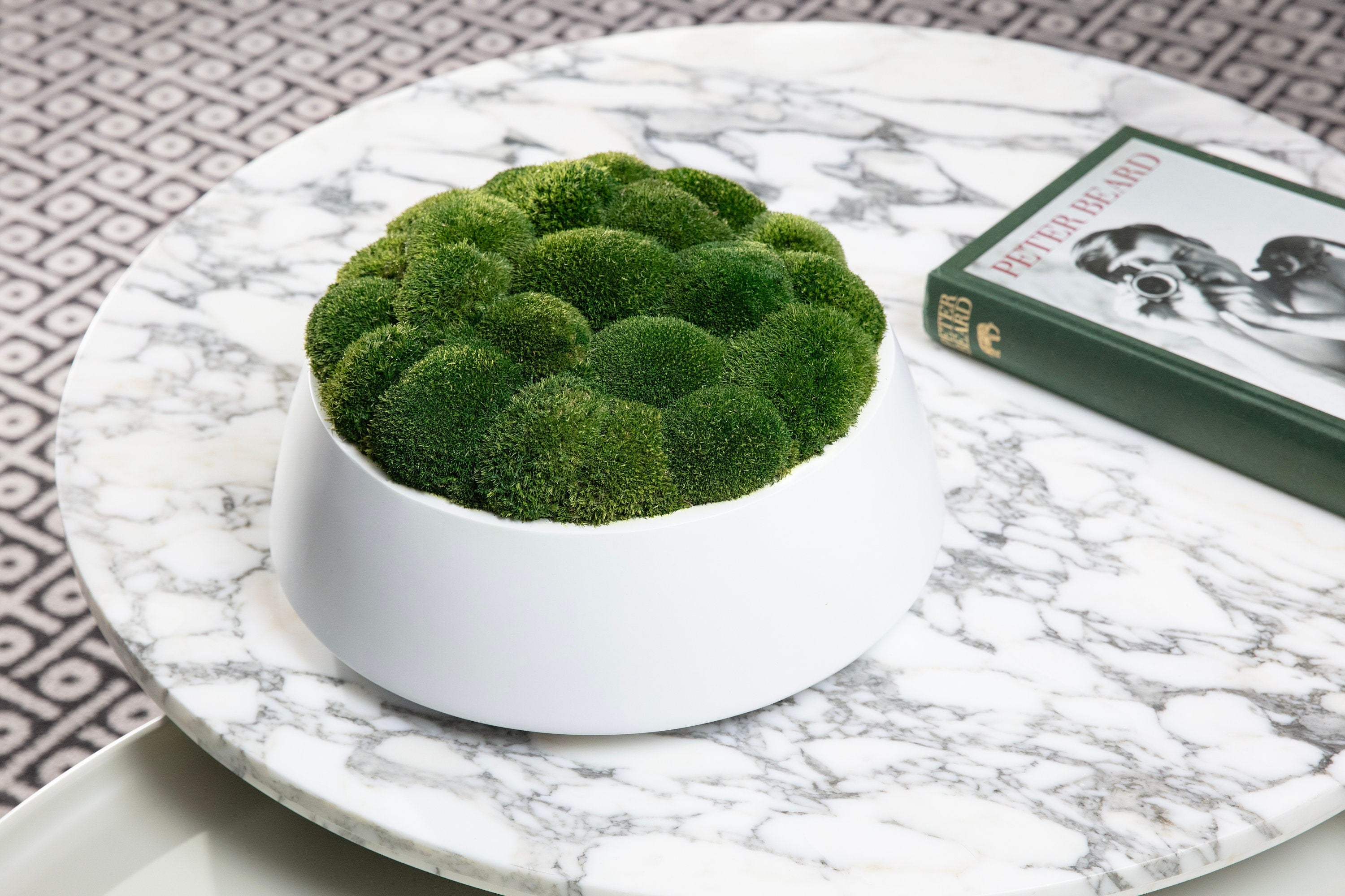 Large Moss Centerpiece - Moss bowl arrangement - Pillow Moss in Modern Bowl - Home decor