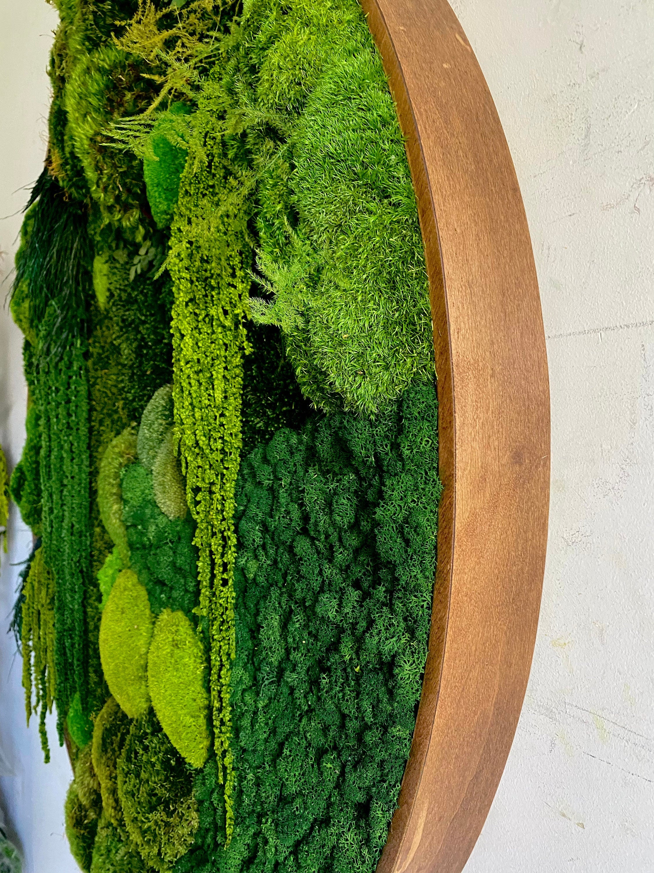 Large Moss wall art - Preserved Moss - Round art - circular art - green wall