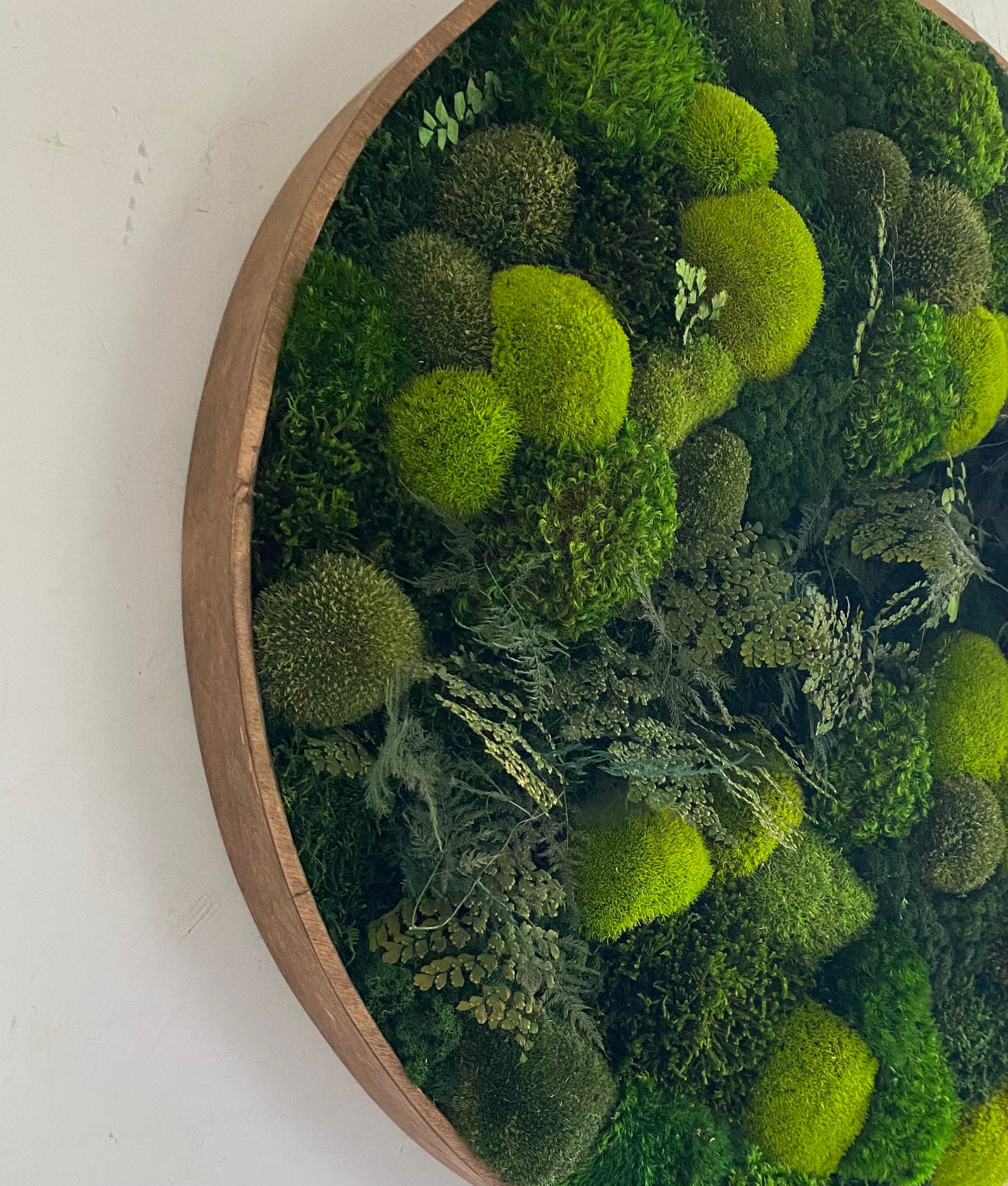 Moss wall art - Preserved Moss art - Round art - circular art - green wall