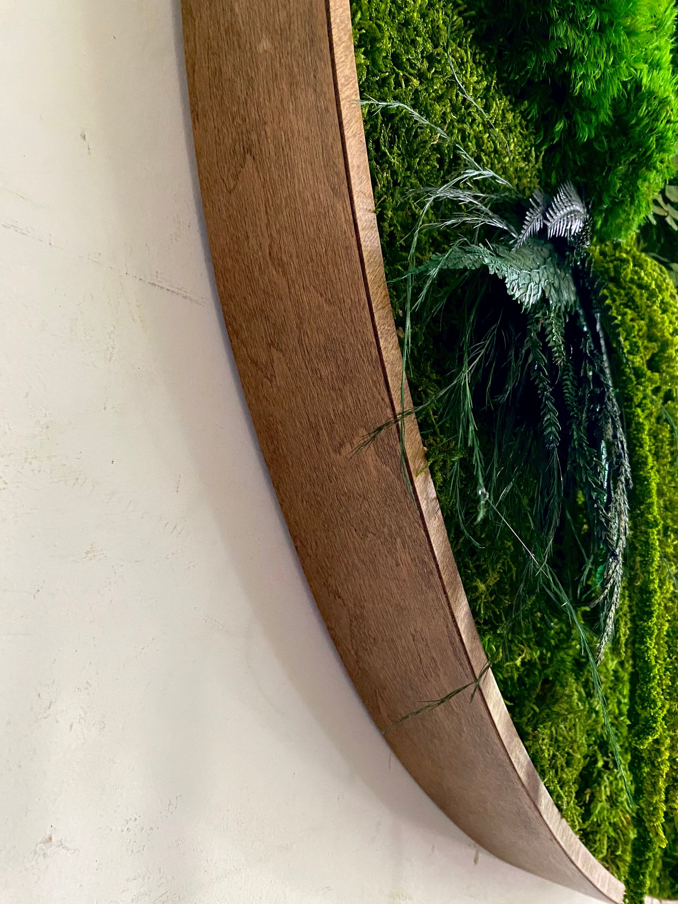 Large Moss wall art - Preserved Moss - Round art - circular art - green wall