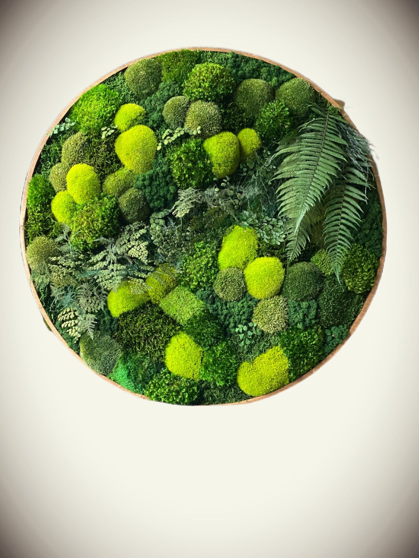 Moss wall art - Preserved Moss art - Round art - circular art - green wall