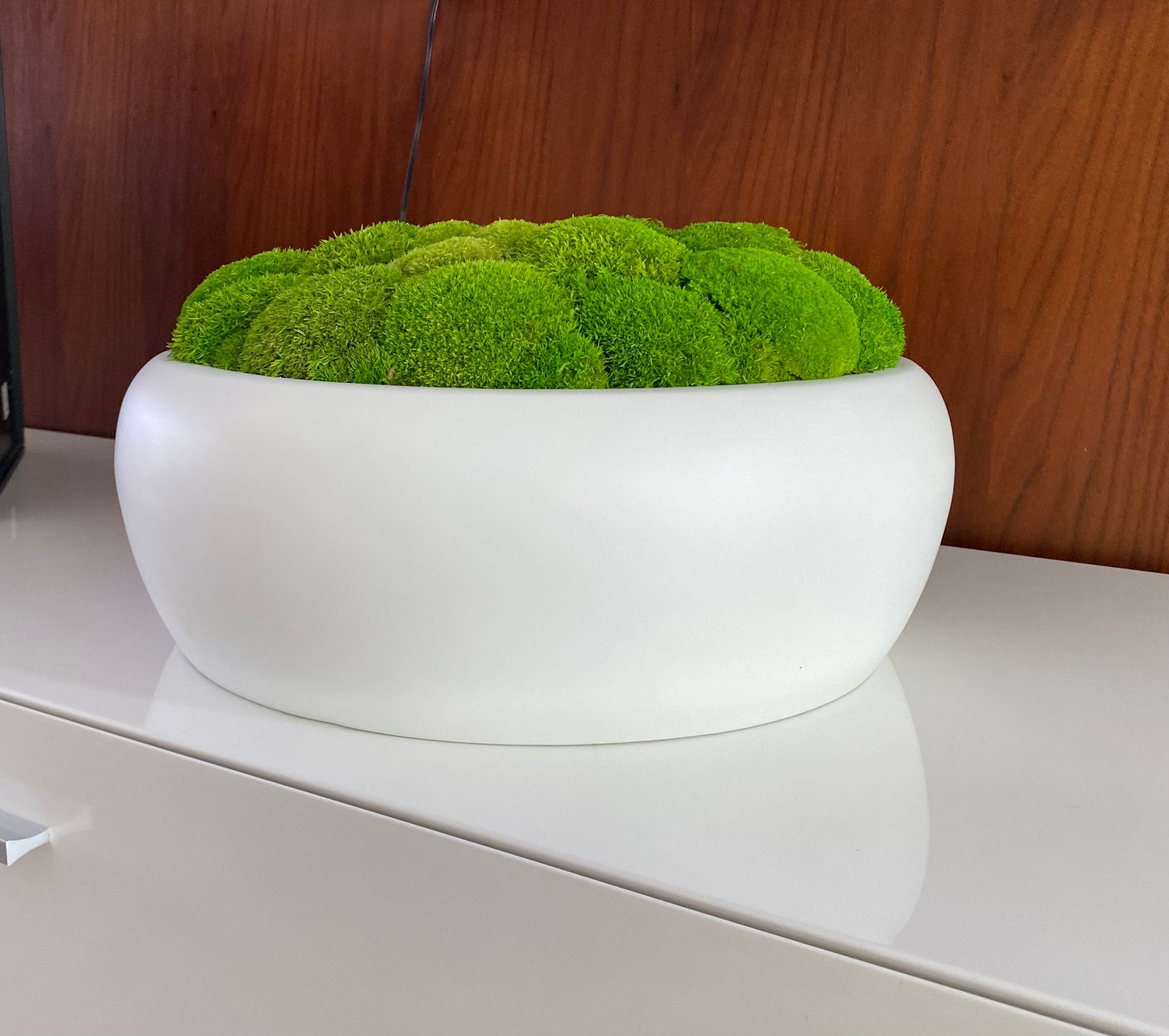 Large Moss Centerpiece - Moss bowl arrangement - Pillow Moss in Modern Bowl - Home decor