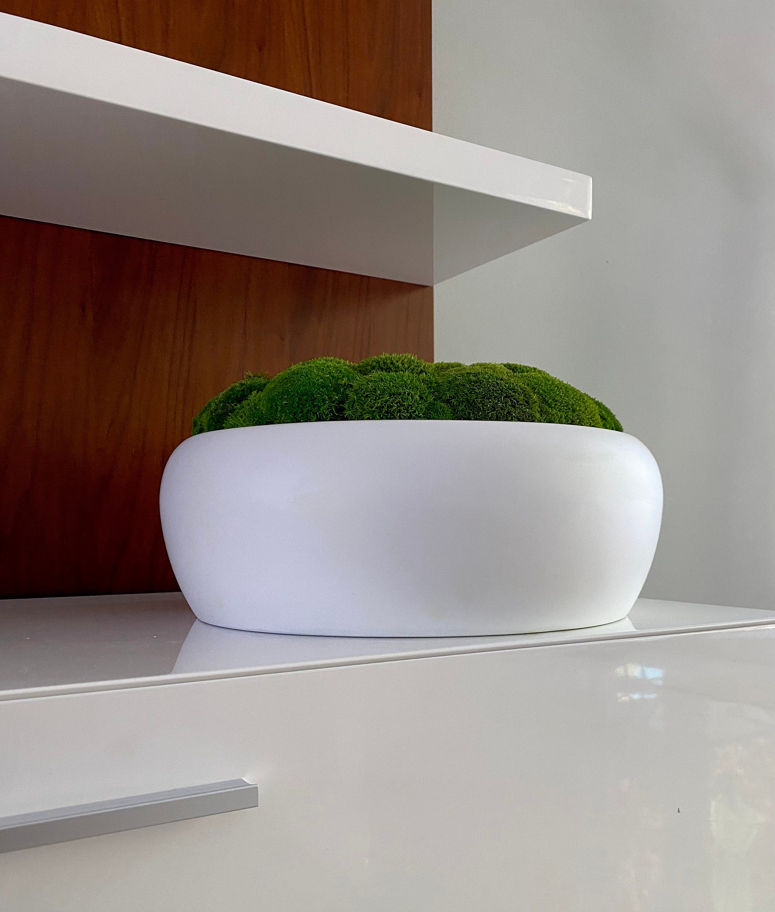 Large Moss Centerpiece - Moss bowl arrangement - Pillow Moss in Modern Bowl - Home decor