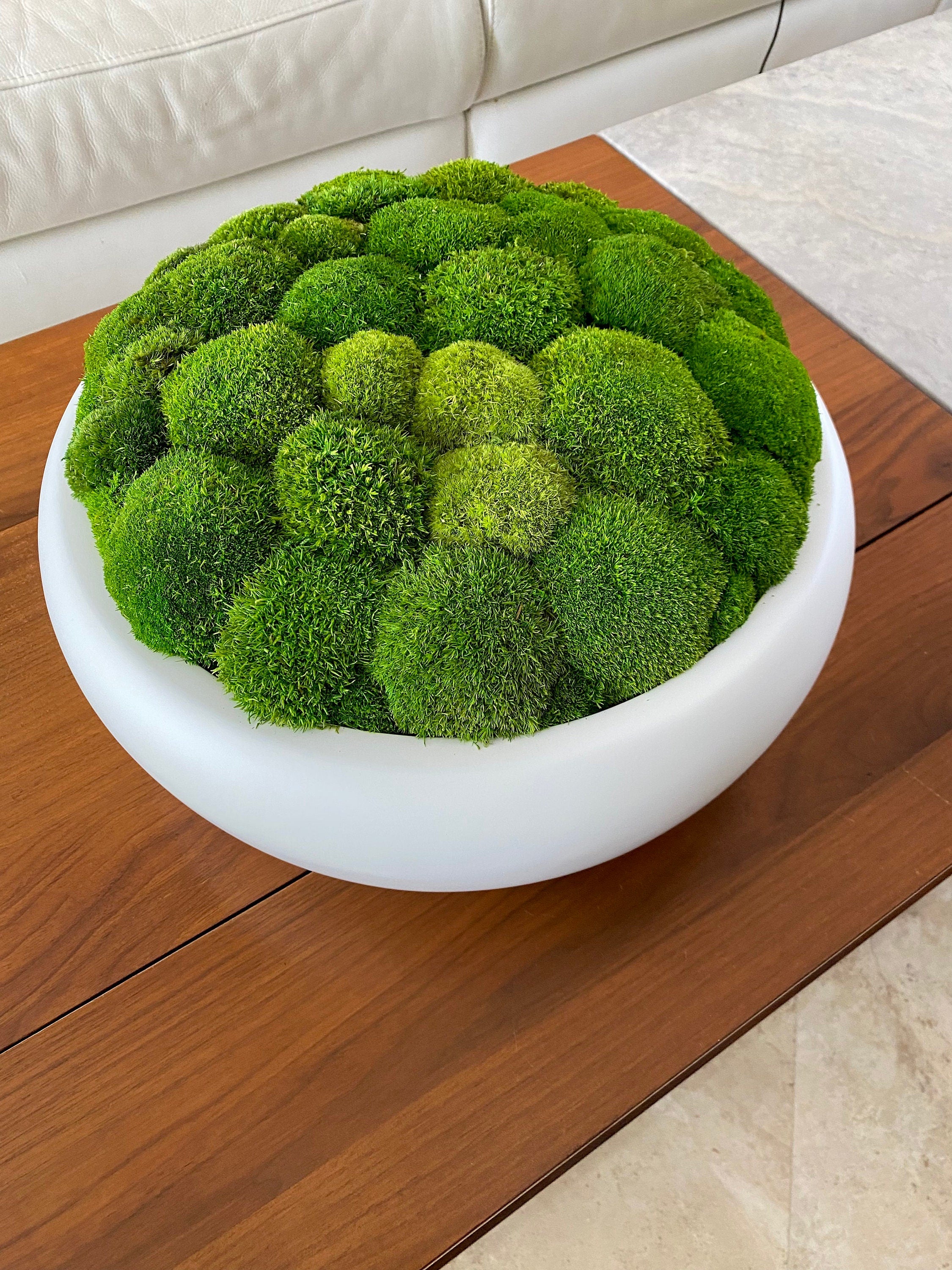 Large Moss Centerpiece - Moss bowl arrangement - Pillow Moss in Modern Bowl - Home decor