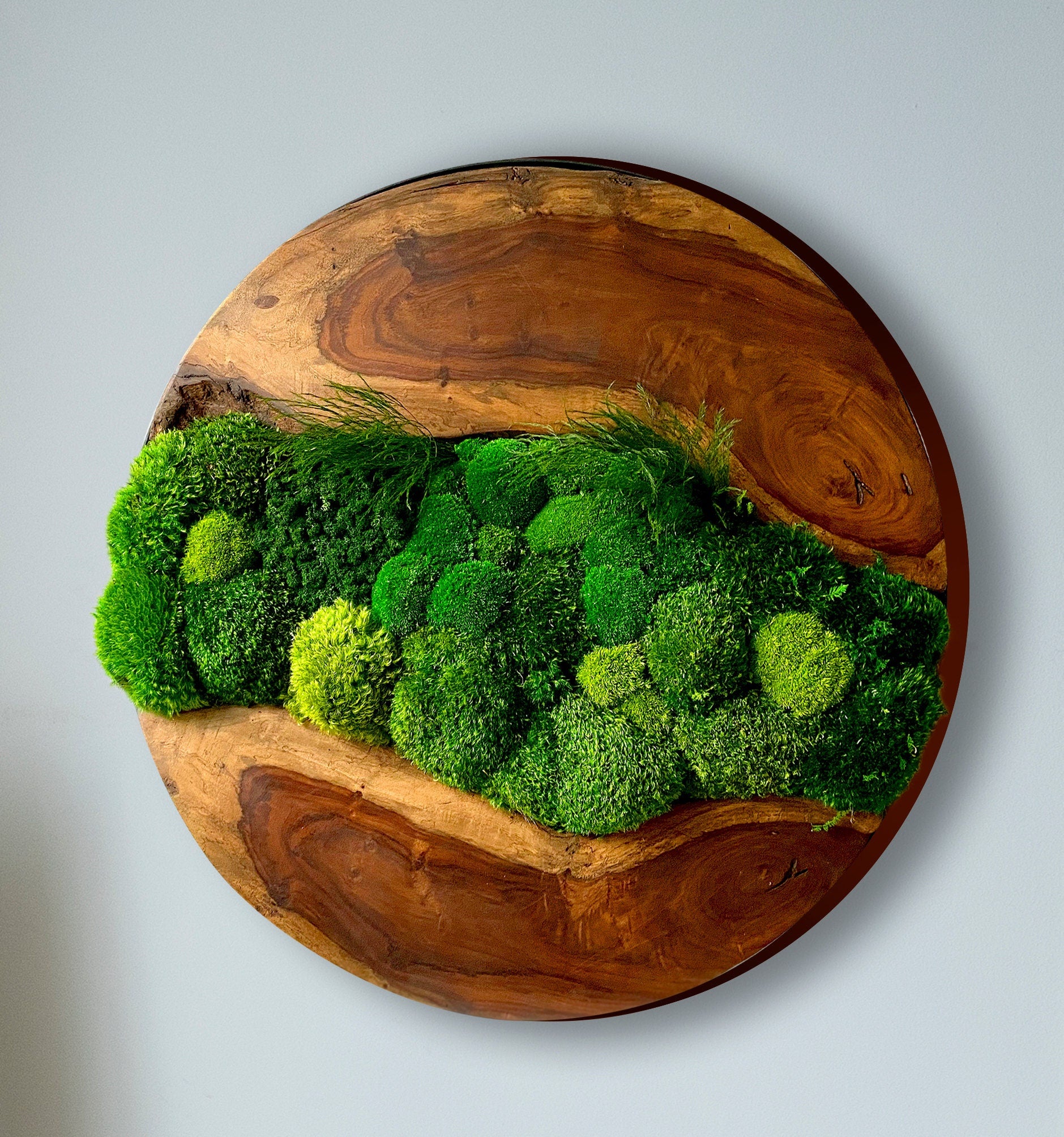 Moss wall art - Preserved Moss art - Round art - circular art - green wall - Live edge Wood Art