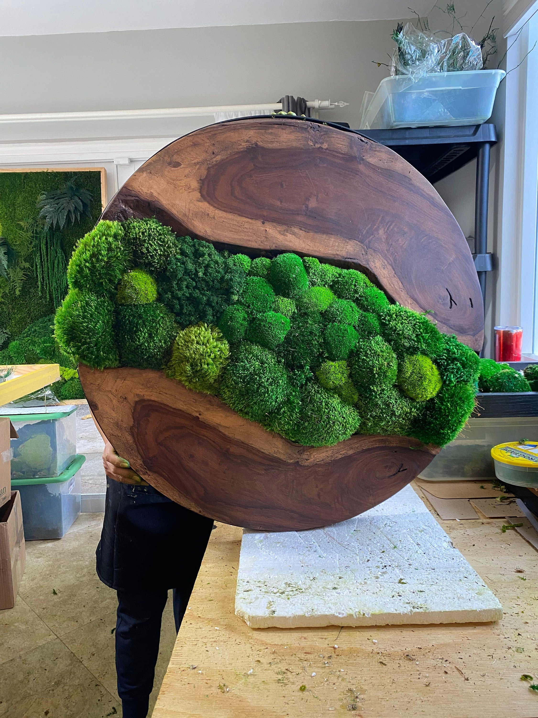 Moss wall art - Preserved Moss art - Round art - circular art - green wall - Live edge Wood Art