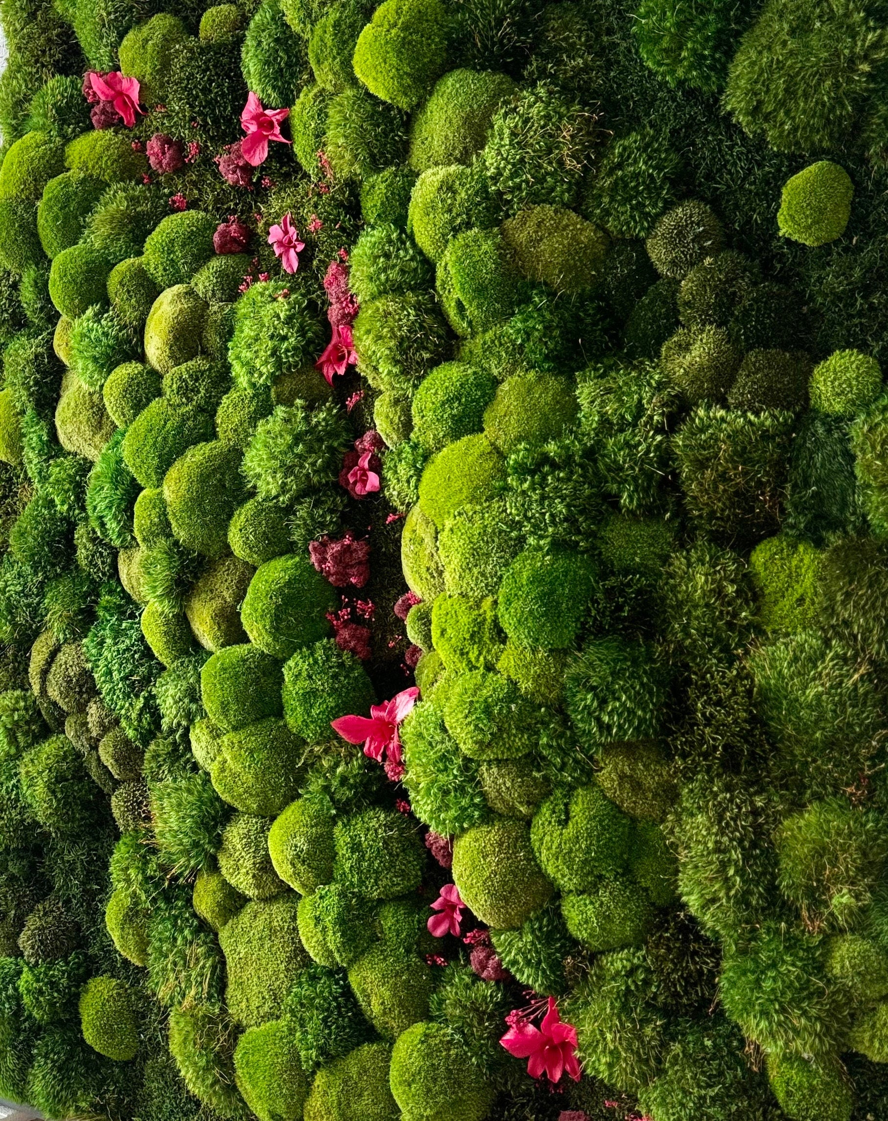 Moss Wall Art. Moss Art. Preserved Moss. Living walL. Preserved Moss with Orchids