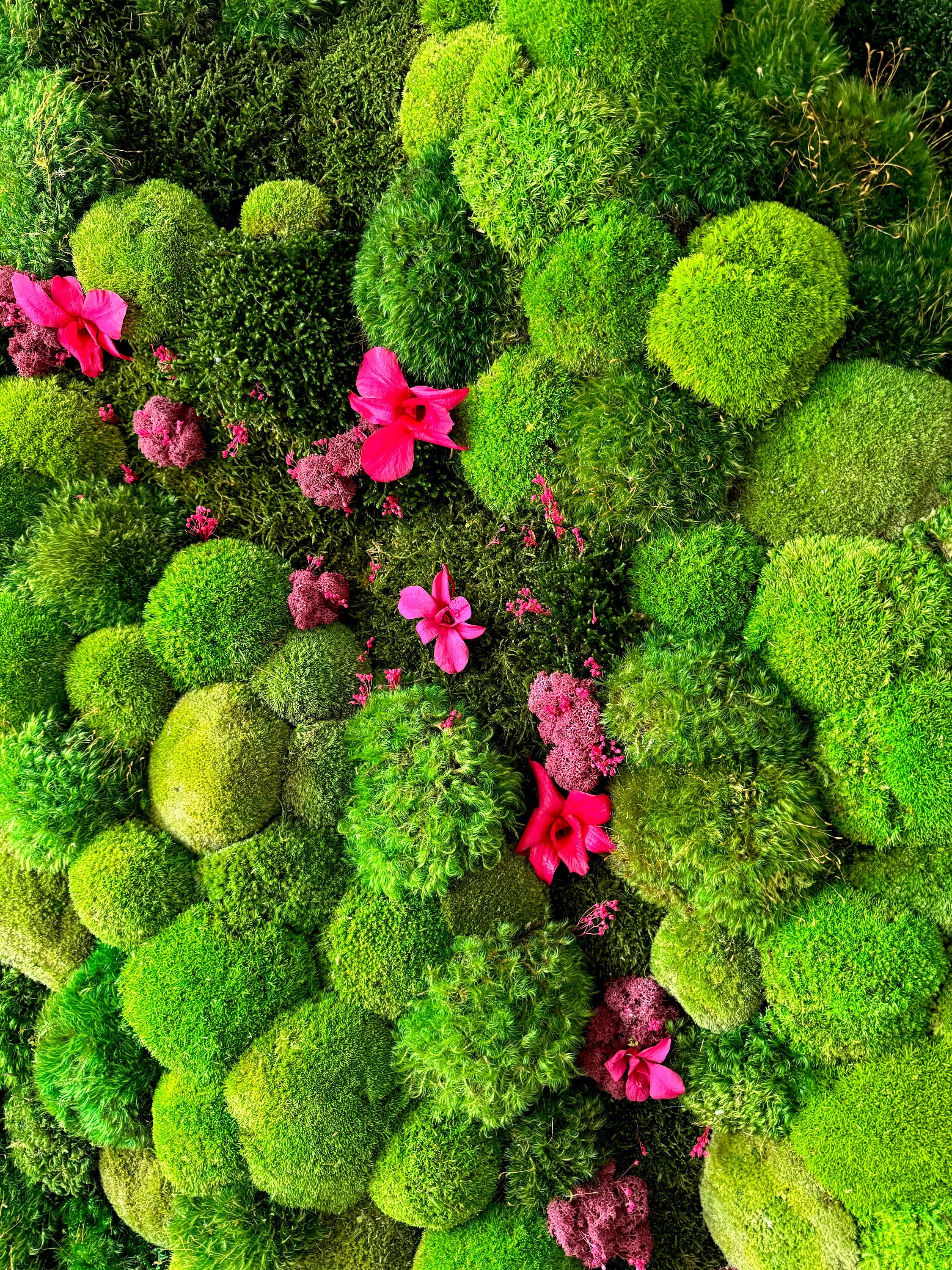 Moss Wall Art. Moss Art. Preserved Moss. Living walL. Preserved Moss with Orchids