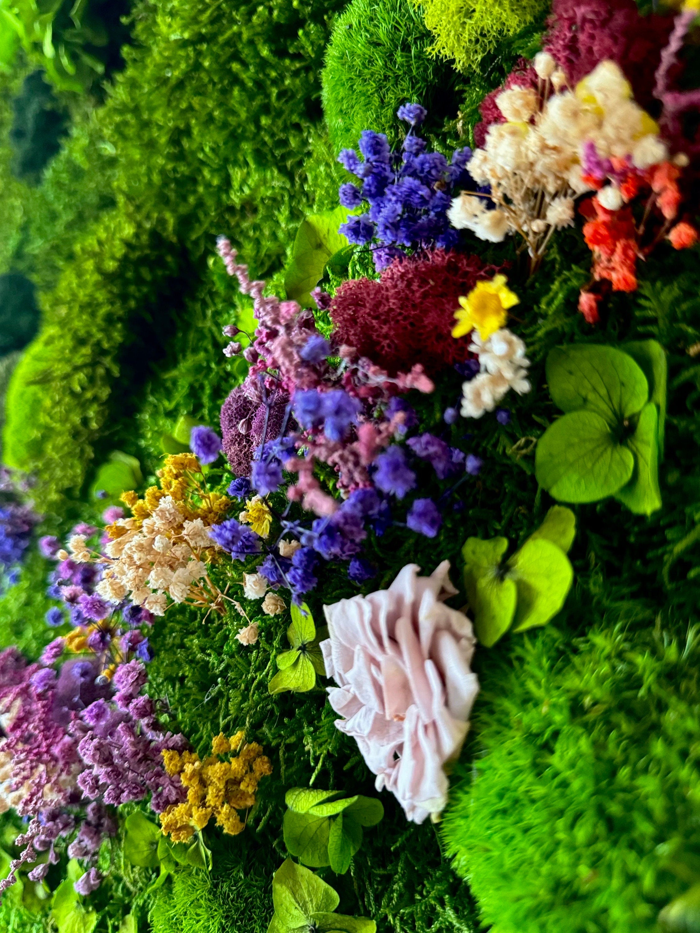 Moss wall Art. Flower art. Planted wall. Moss wall. Preserved moss