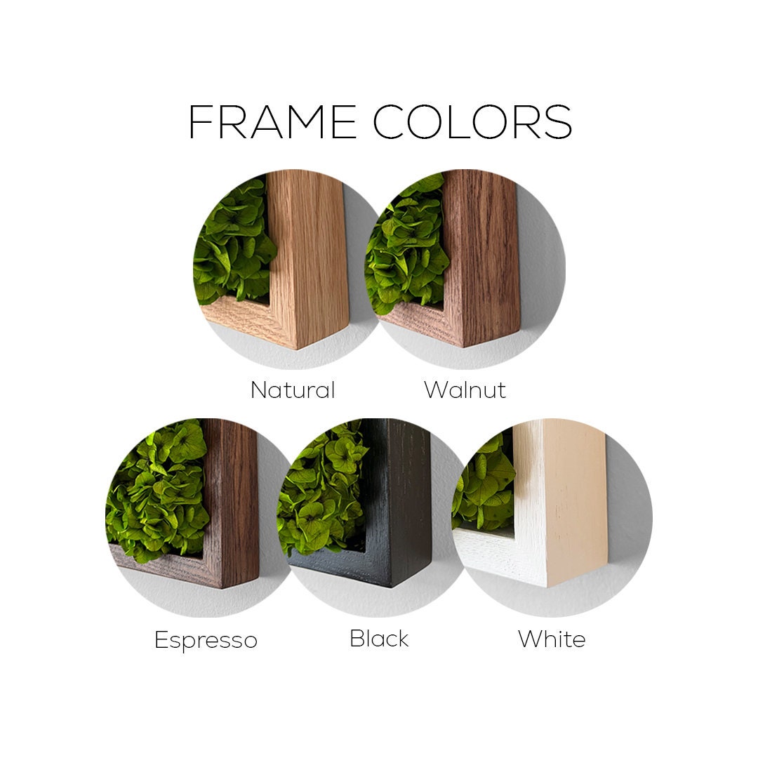 Moss Wall Art. Moss Wall. Moss Art Panels. Green Wall Art.