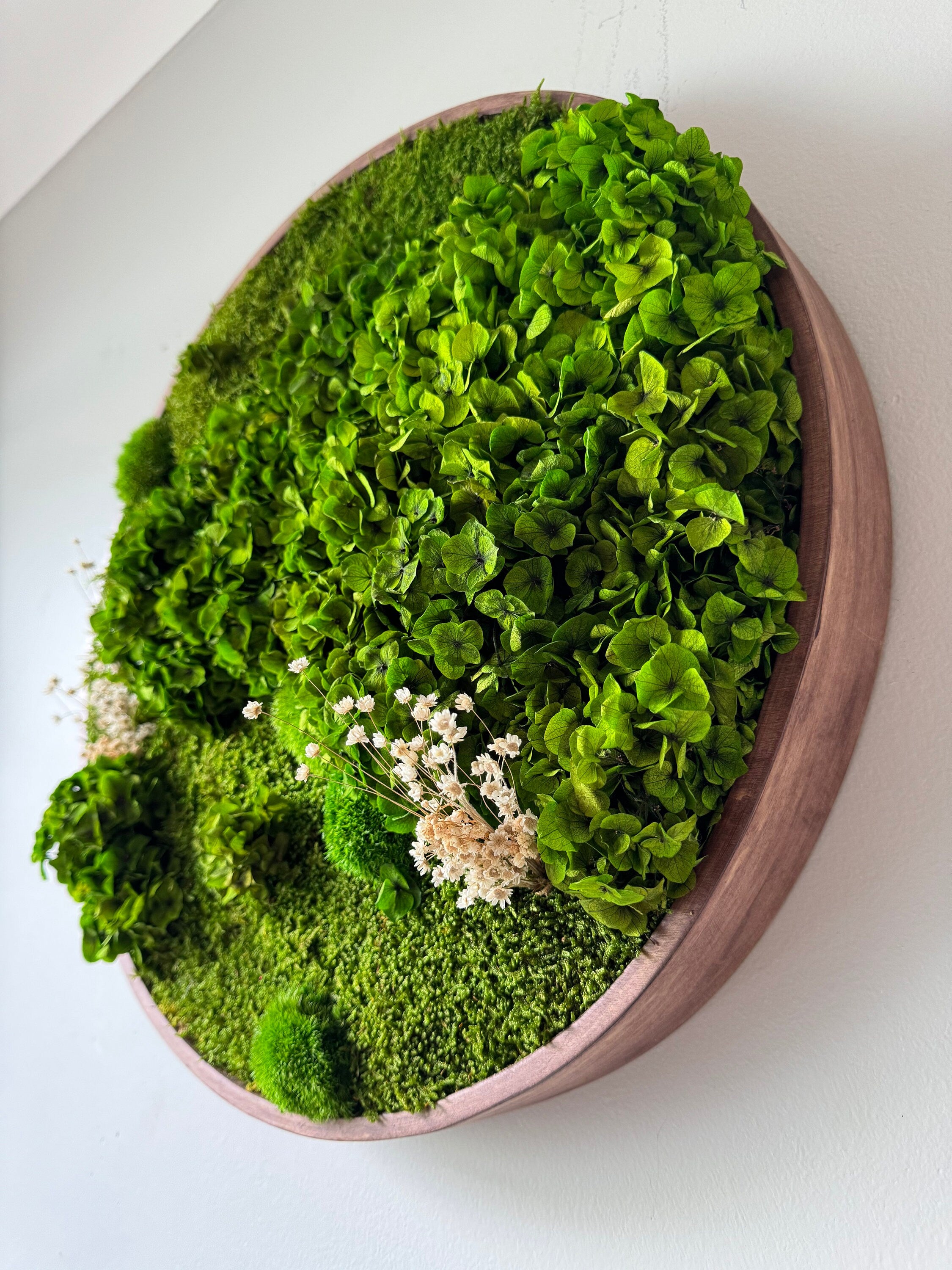 Moss wall - Preserved Moss - Round art - circular art - living wall - Moss Art - Green wall art