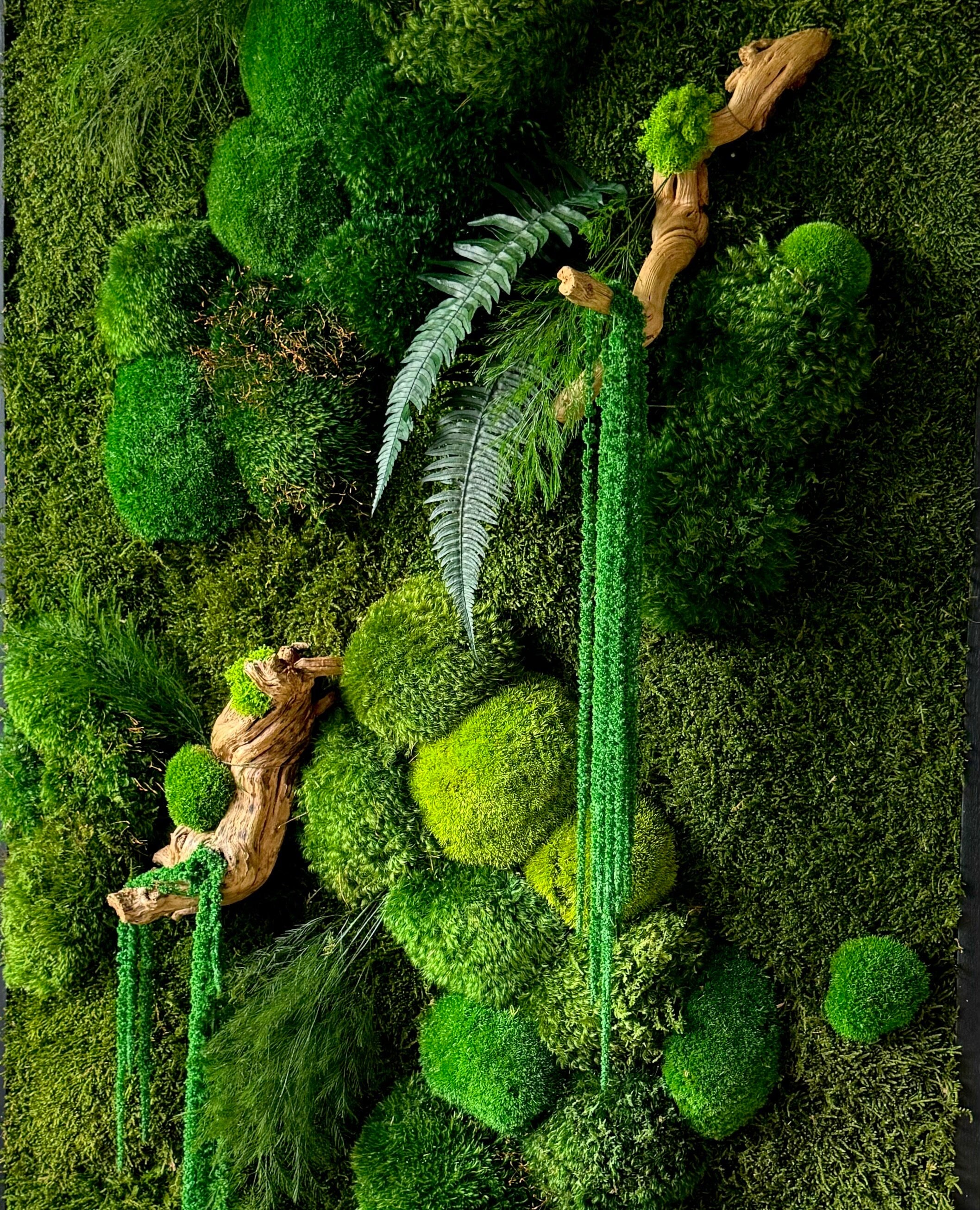 Moss wall art. Preserved Moss decor. Plant wall. Moss art. Statement Art