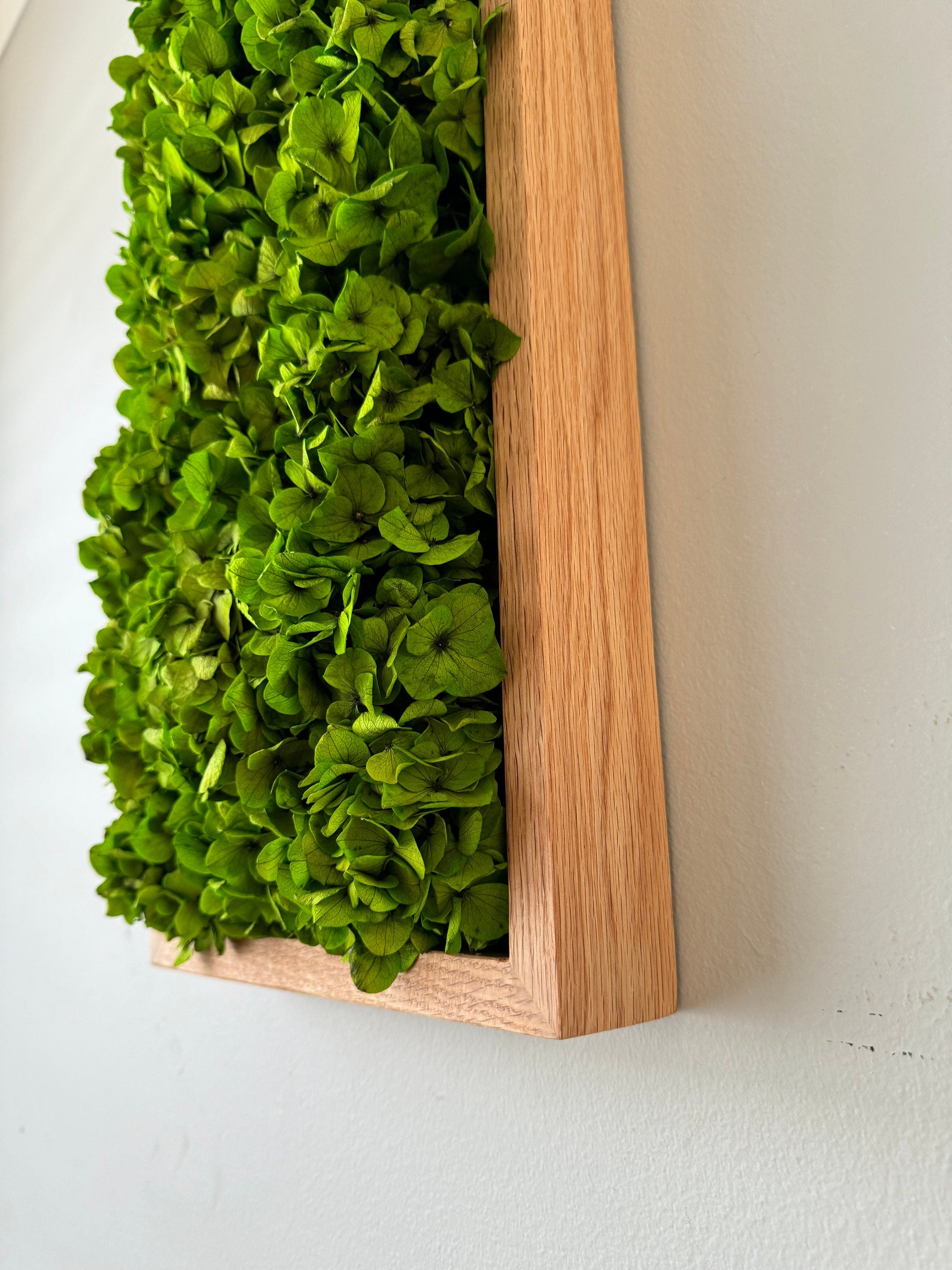 Moss Wall Art. Moss Wall. Moss Art Panels. Green Wall Art.