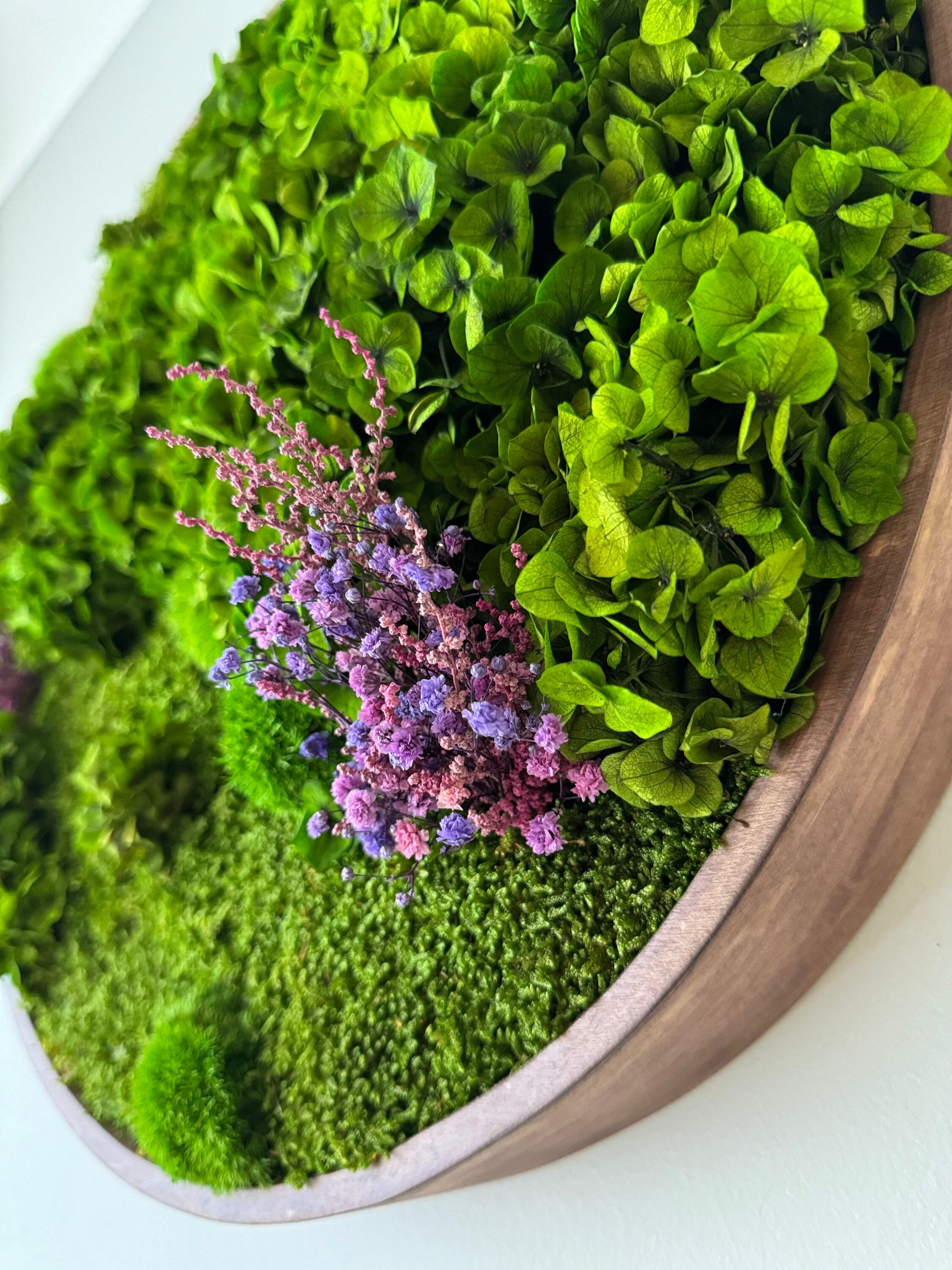 Moss wall - Preserved Moss - Round art - circular art - living wall - Moss Art - Green wall art