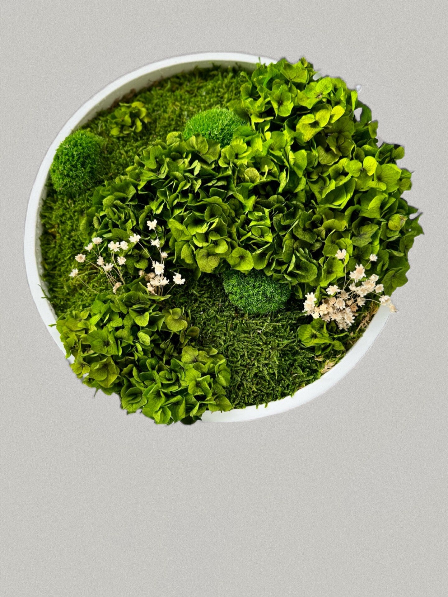 Moss wall - Preserved Moss - Round art - circular art - living wall - Moss Art - Green wall art