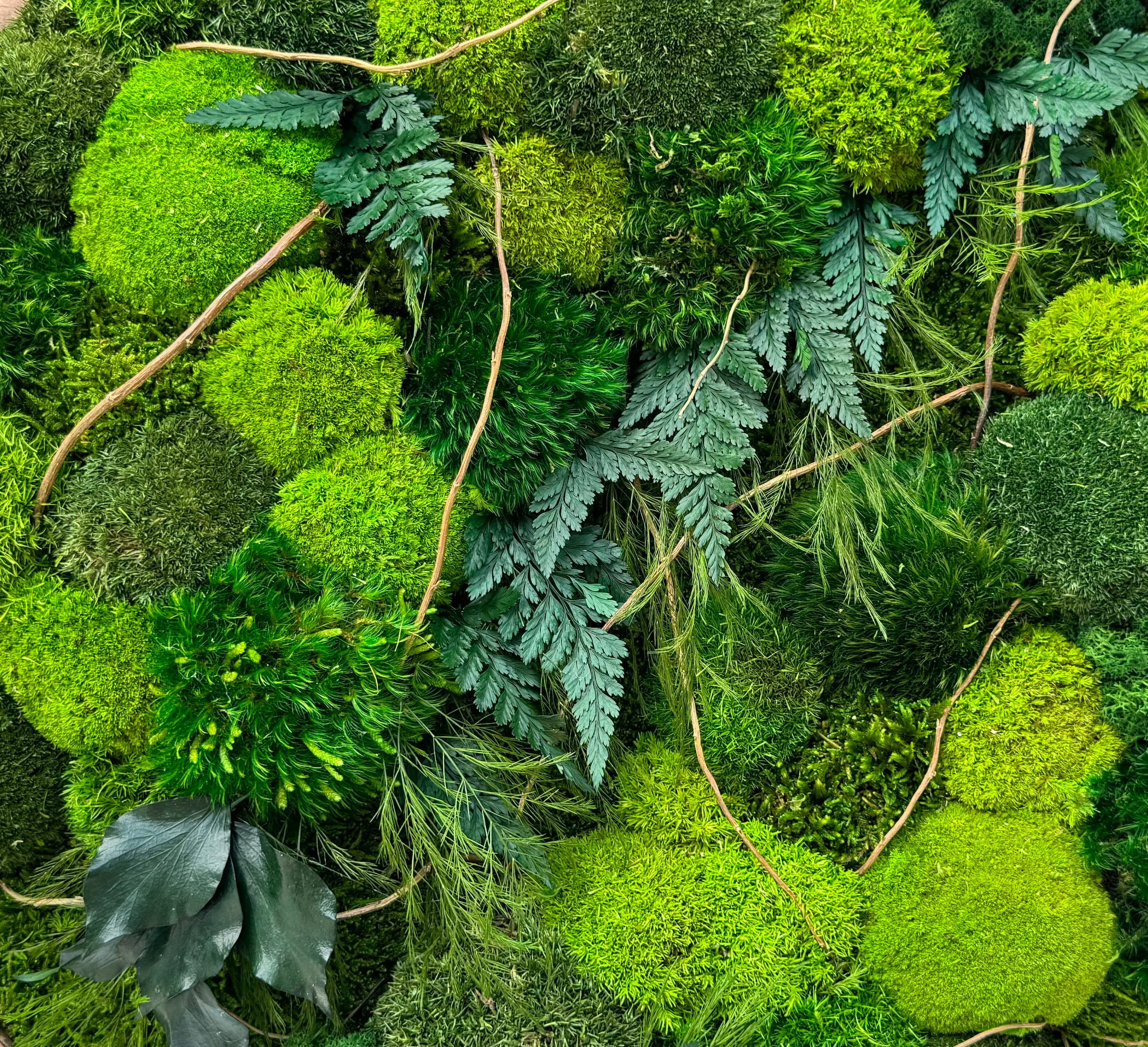 Moss Art. Moss Circle Frame. Planted Wall. Botanical living Art. Natural Home Decor. Planted Wall. Wall hanging with moss and plants