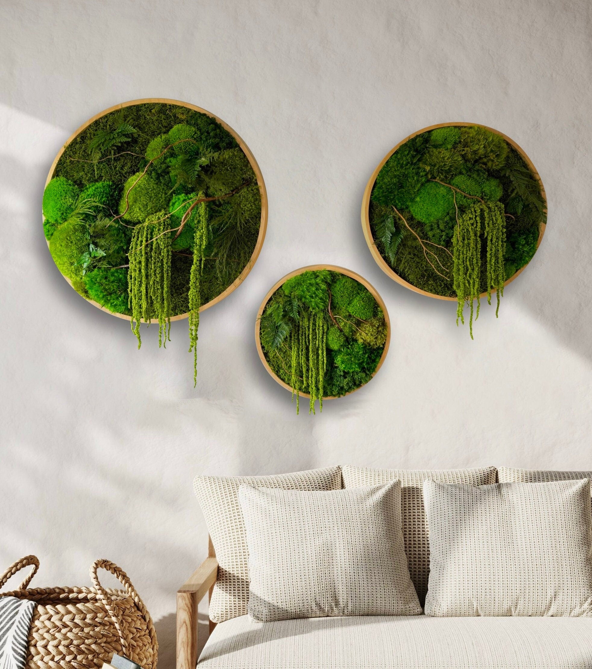 Moss wall art - Preserved Moss - Round art - circular art - Moss circles sets