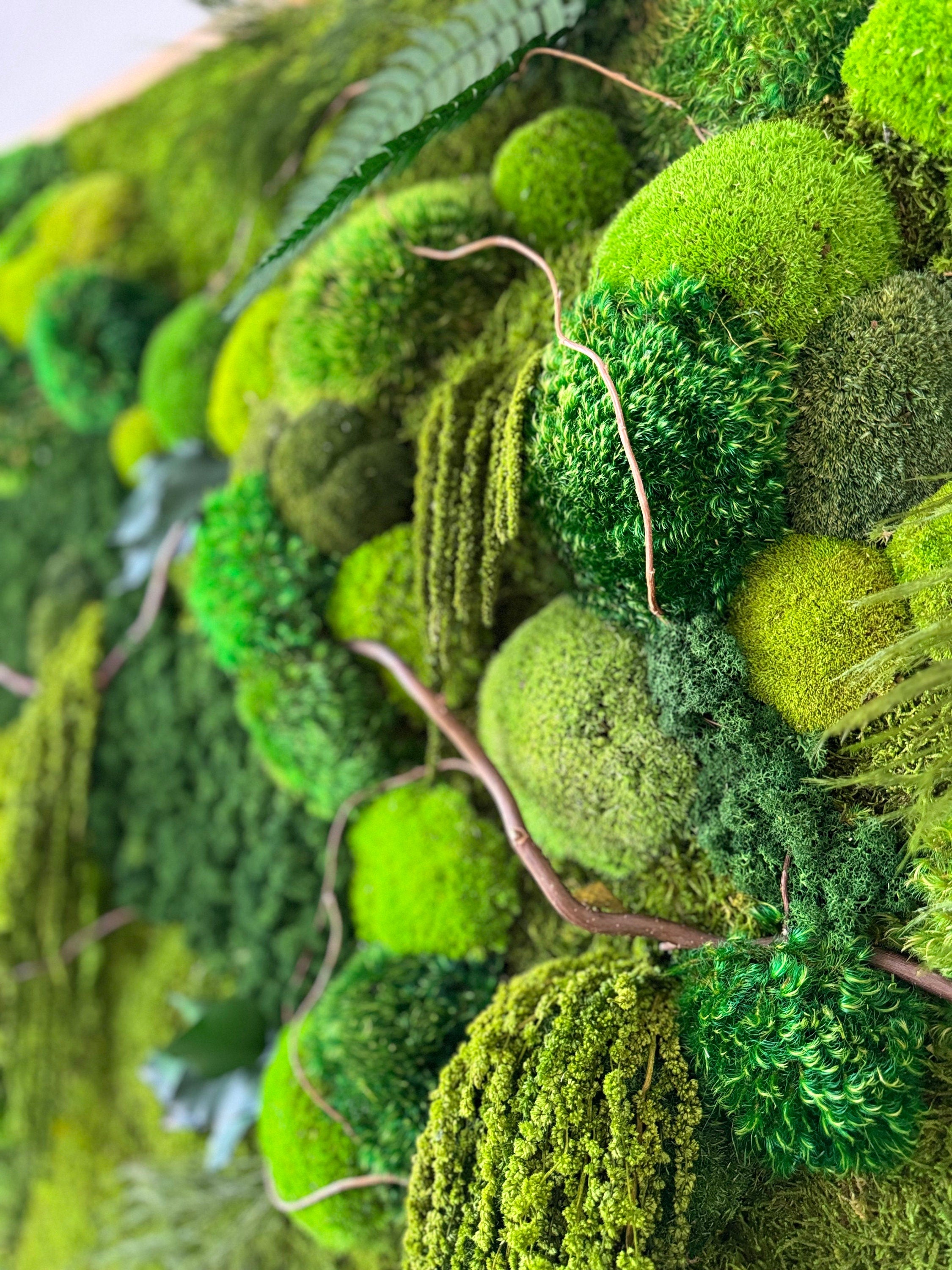 Moss wall art. Preserved Moss wall. Plant wall. Green Wall art with preserved plants