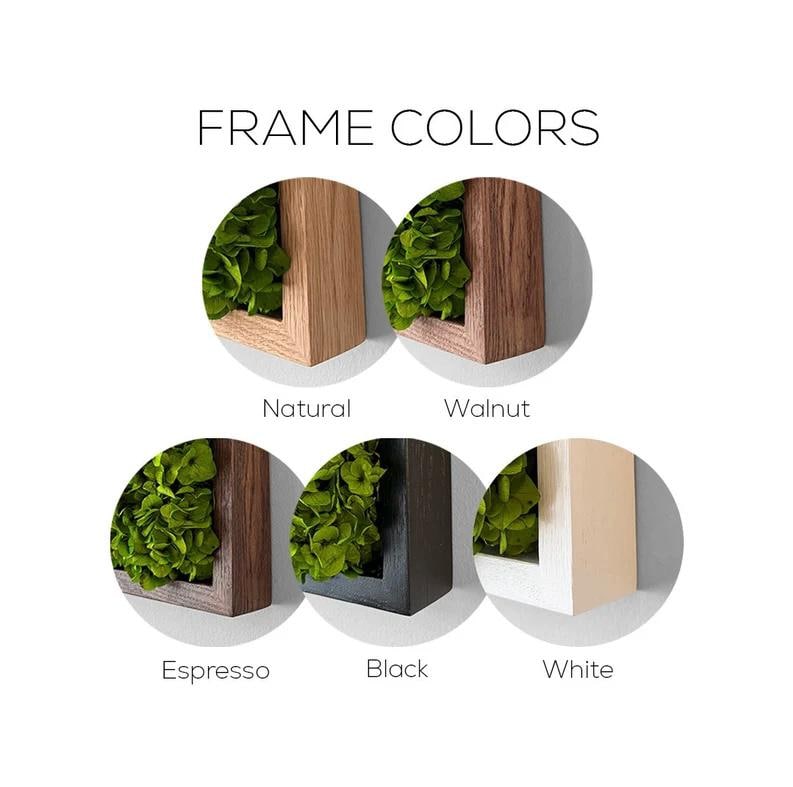 Moss Wall Art. Moss Wall. Moss Art Panels. Green Wall Art. Preserved plants