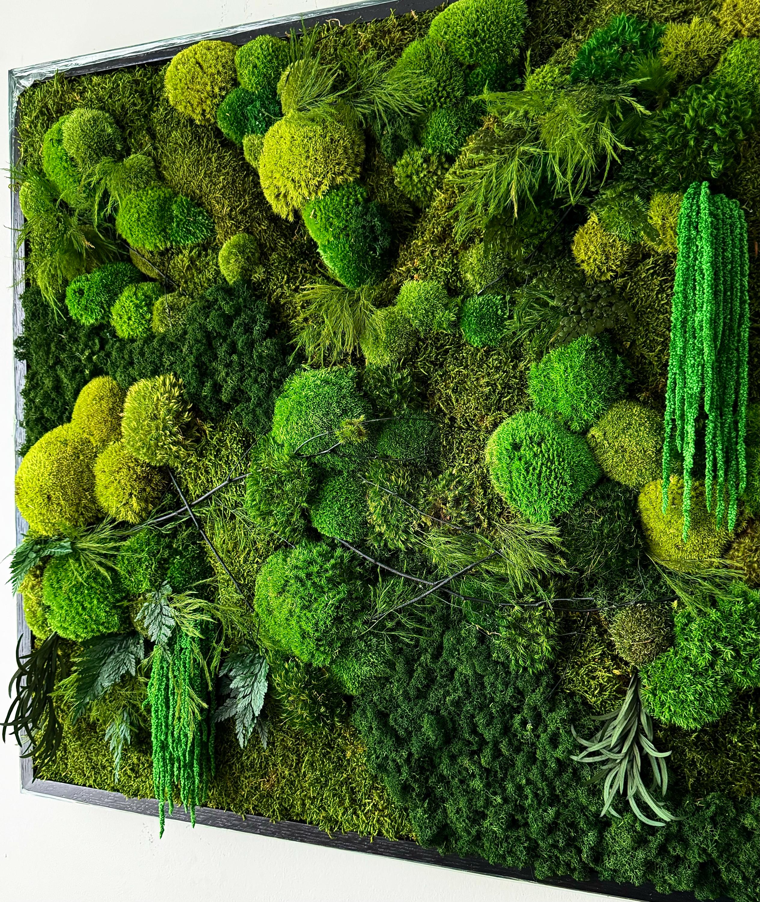 Moss Wall Art. Moss Art. Preserved Moss. Living wall. Plant wall decor. Preserved plants