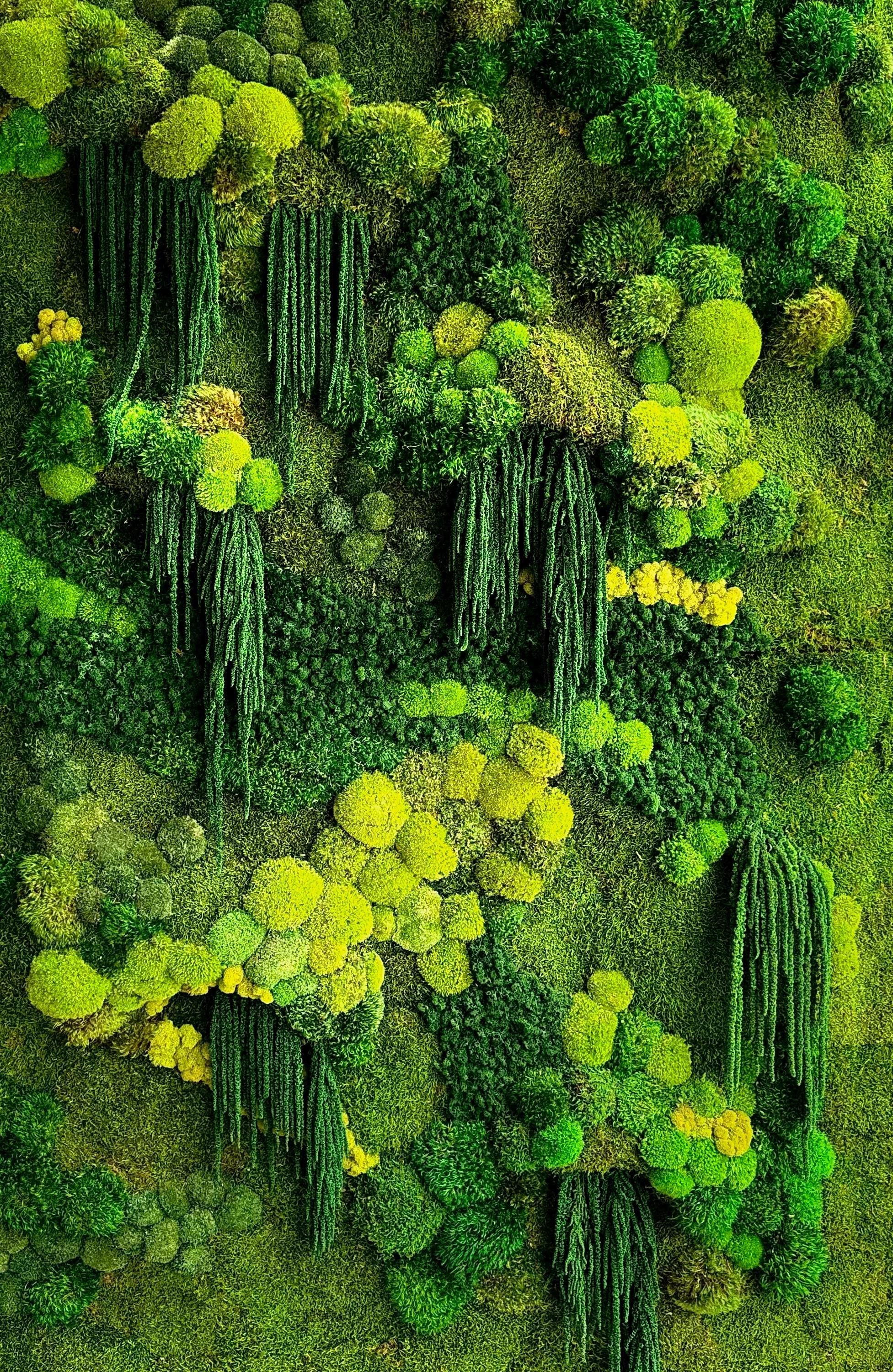 Handcrafted Moss Wall Art with Oak Frame | Mixed Moss & Amaranthus | Unique Natural Home Décor
