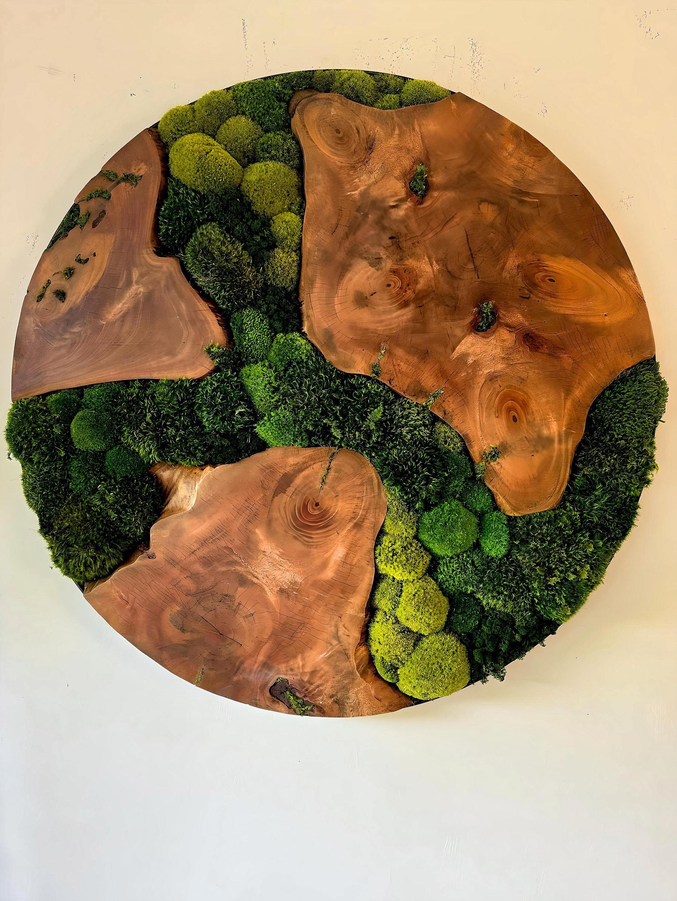 Moss wall art - Preserved Moss art - Round art - circular art - green wall - Live edge Wood Art