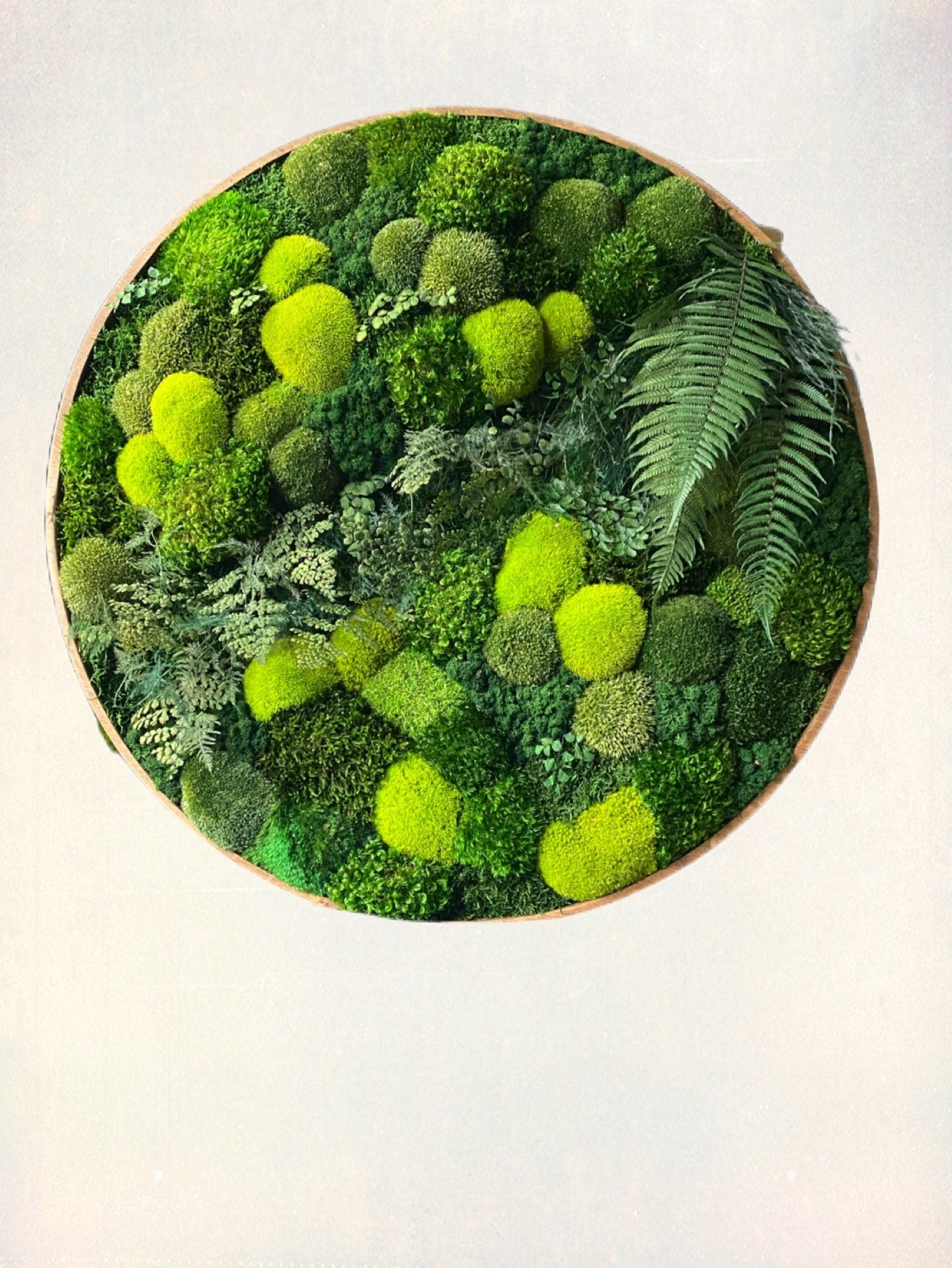 Moss wall art - Preserved Moss art - Round art - circular art - green wall