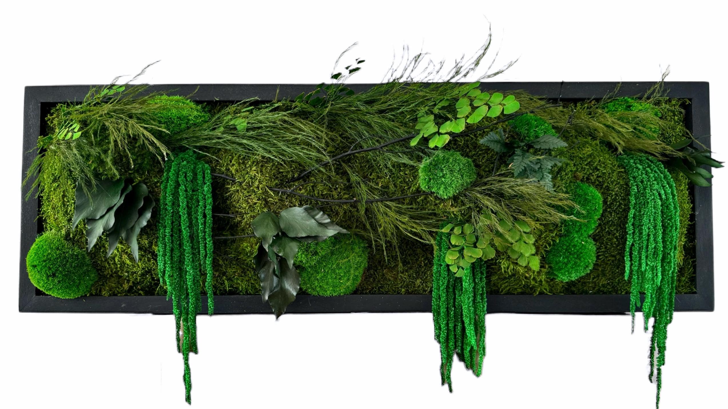 Moss Wall Art. Moss Wall. Moss Art Panels. Green Wall Art. Preserved plants